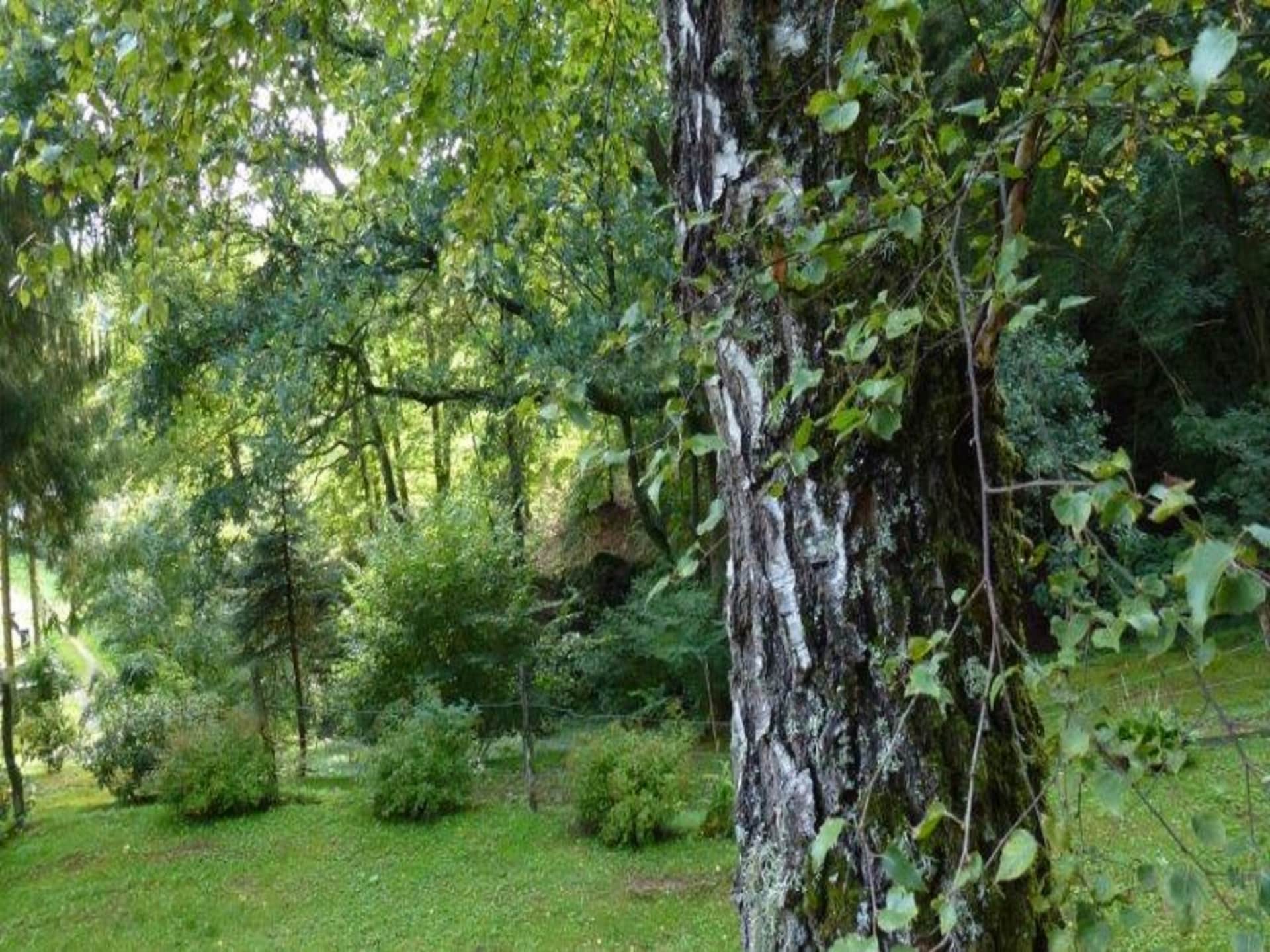 Knus houten chalet met privésauna in het Franse platteland van Bousseviller - foto 31