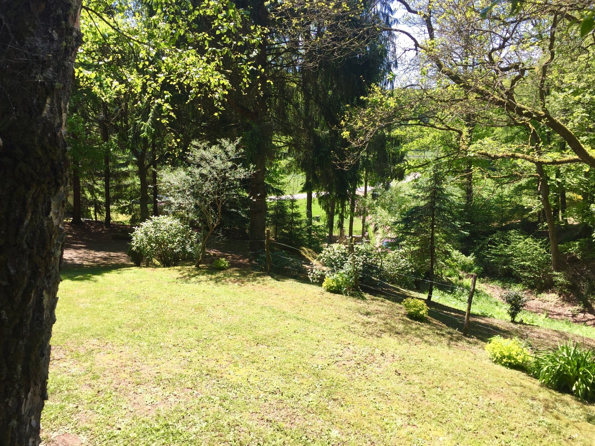Knus houten chalet met privésauna in het Franse platteland van Bousseviller - foto 15
