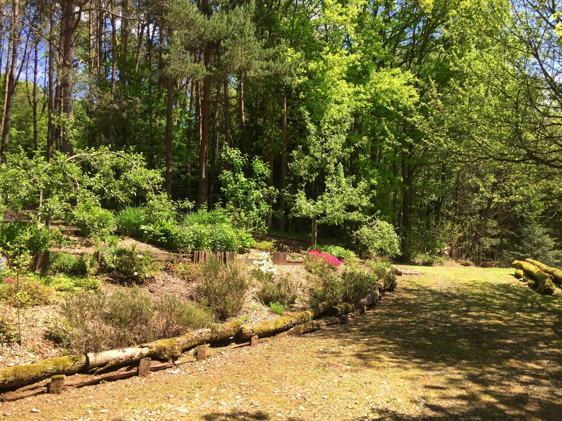 Knus houten chalet met privésauna in het Franse platteland van Bousseviller - foto 17