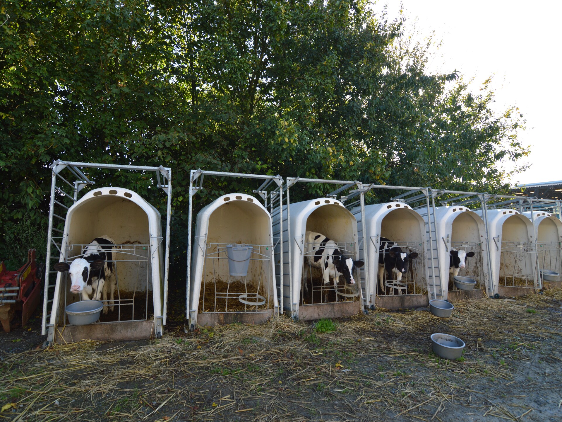 Bosvilla Ferme du Hoguet op 2 km van zee bij Saint-Clément - foto 20