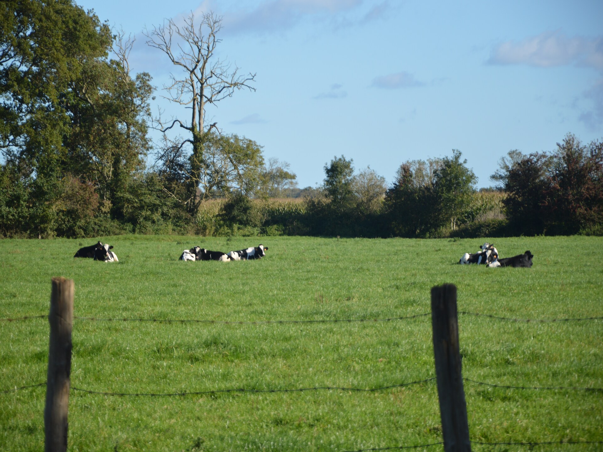 Bosvilla Ferme du Hoguet op 2 km van zee bij Saint-Clément - foto 7