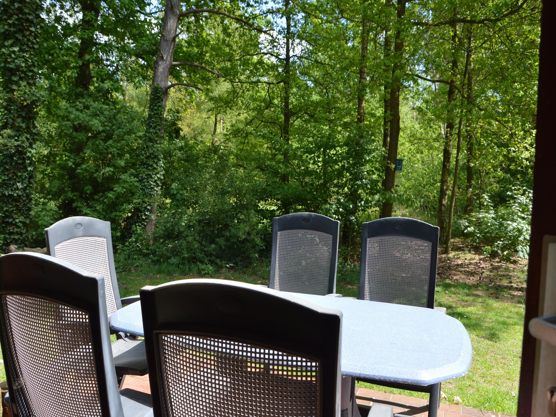 Bungalow 87 – Knus vakantiehuis in het bos van Limburg voor 5 personen - foto 14