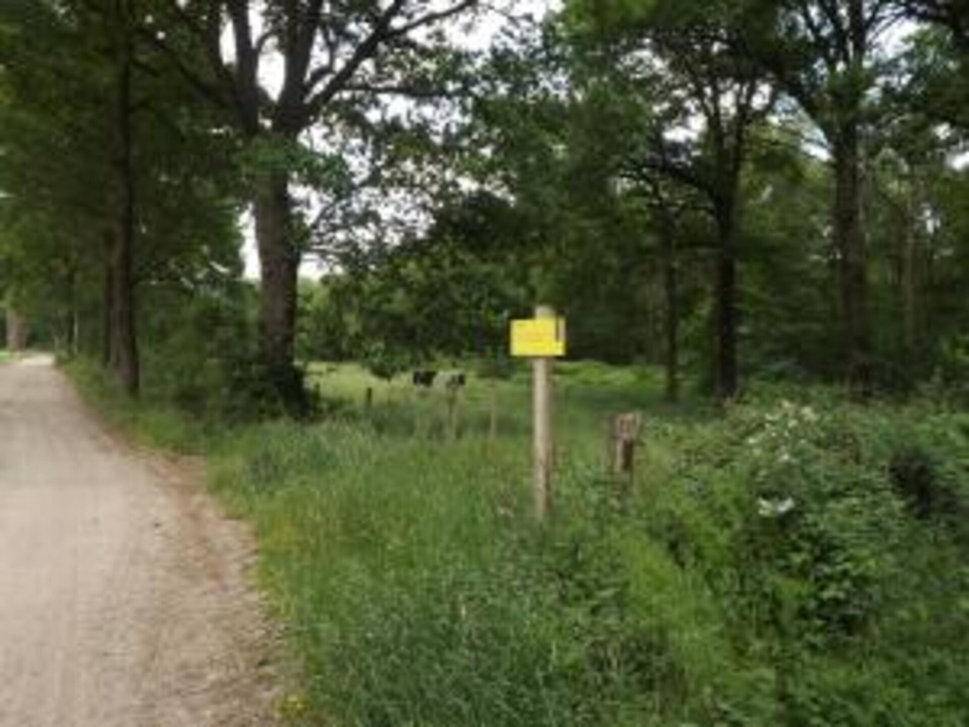 Bungalow 87 – Knus vakantiehuis in het bos van Limburg voor 5 personen - foto 35
