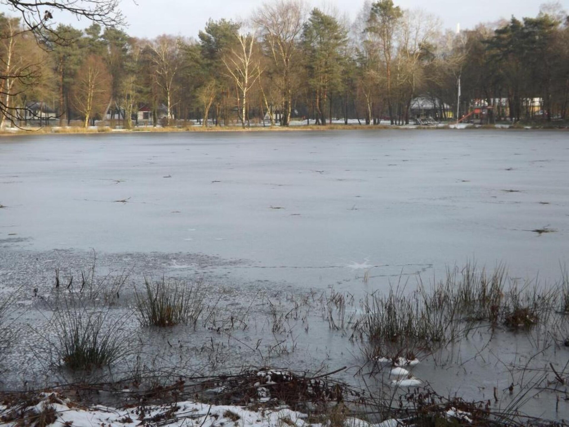 Bungalow 87 – Knus vakantiehuis in het bos van Limburg voor 5 personen - foto 32