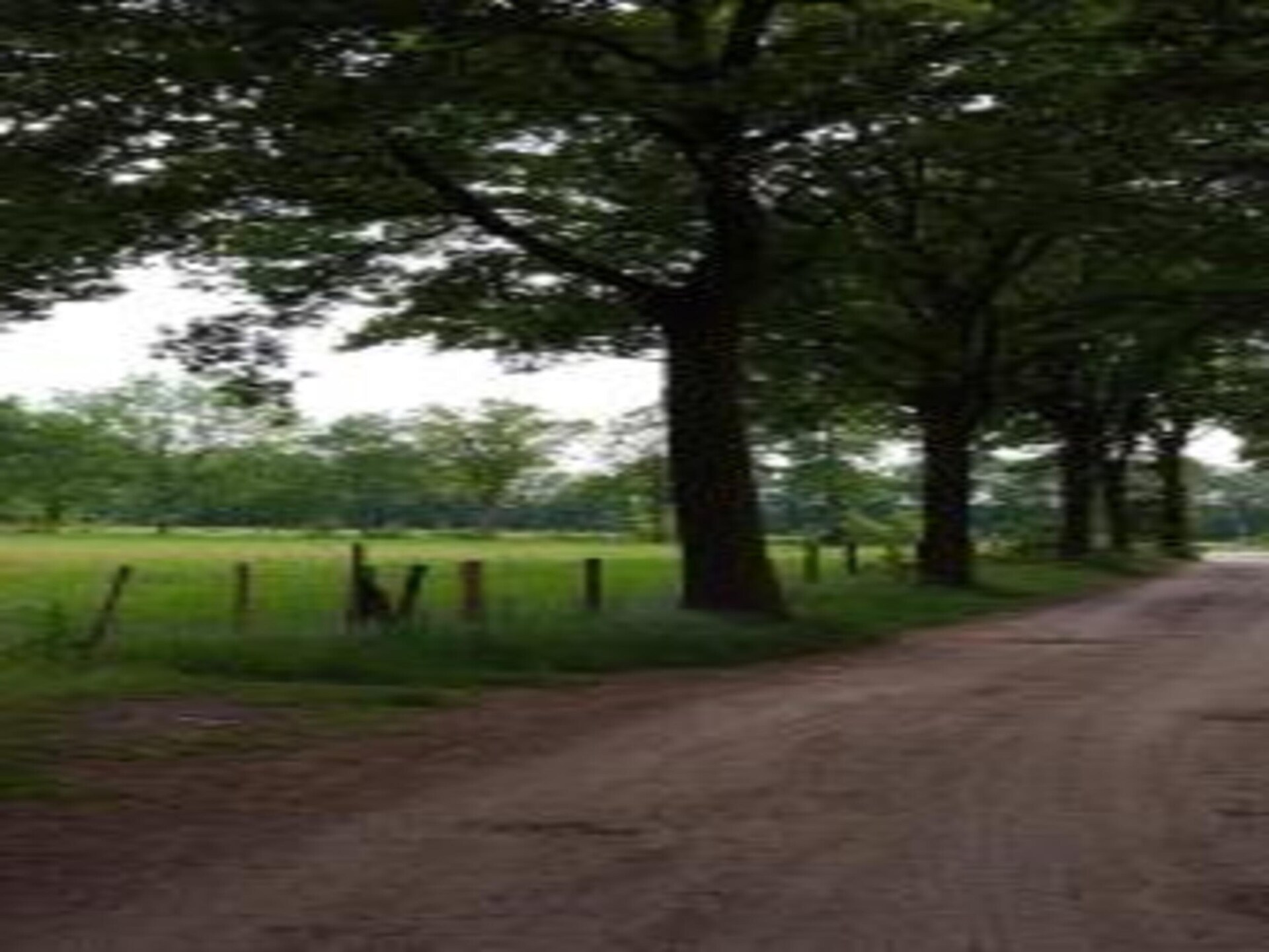 Bungalow 87 – Knus vakantiehuis in het bos van Limburg voor 5 personen - foto 39
