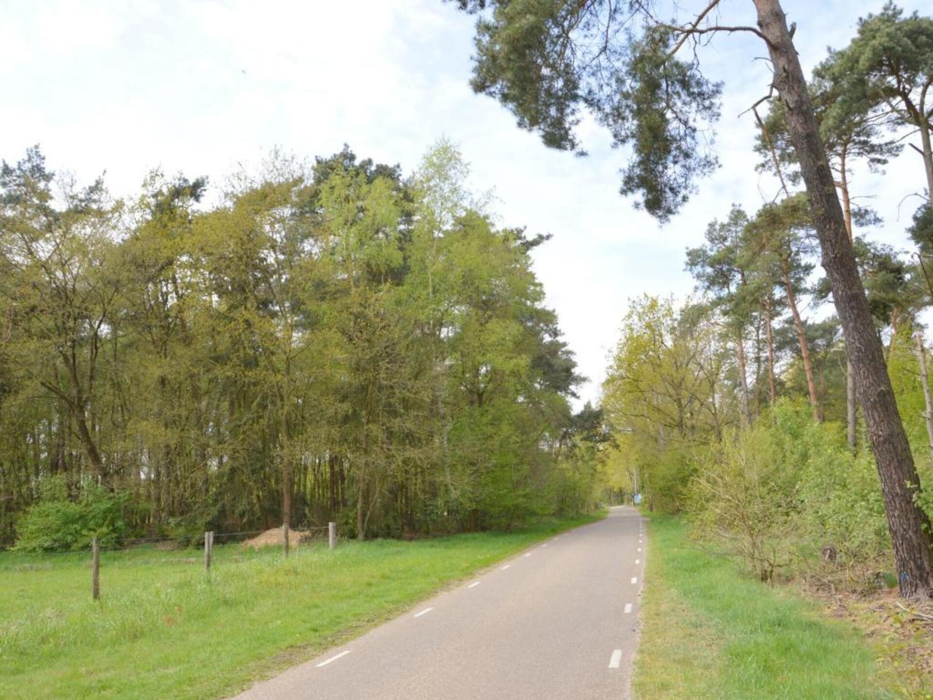 Bungalow 87 – Knus vakantiehuis in het bos van Limburg voor 5 personen - foto 25