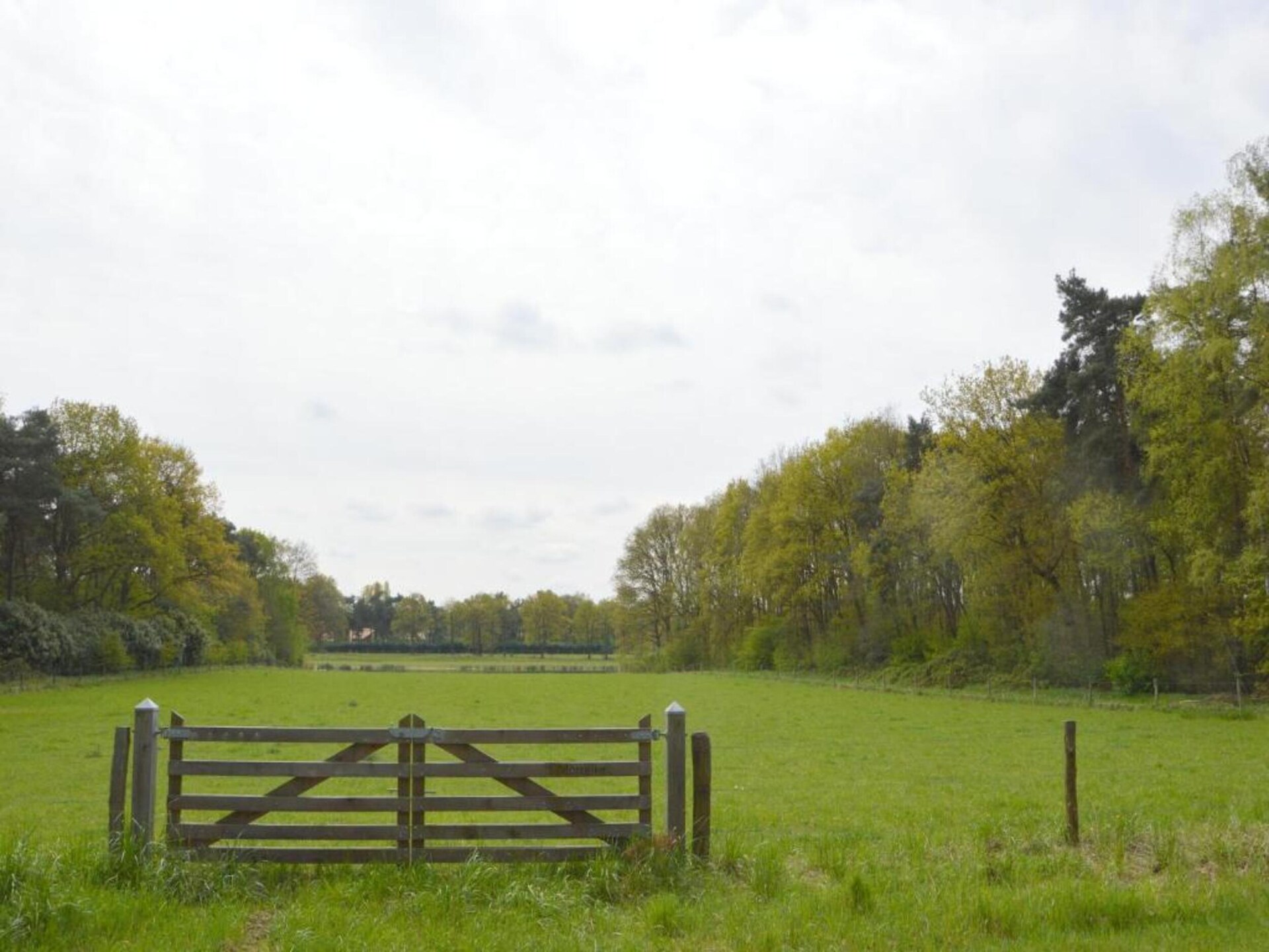 Bungalow 87 – Knus vakantiehuis in het bos van Limburg voor 5 personen - foto 23