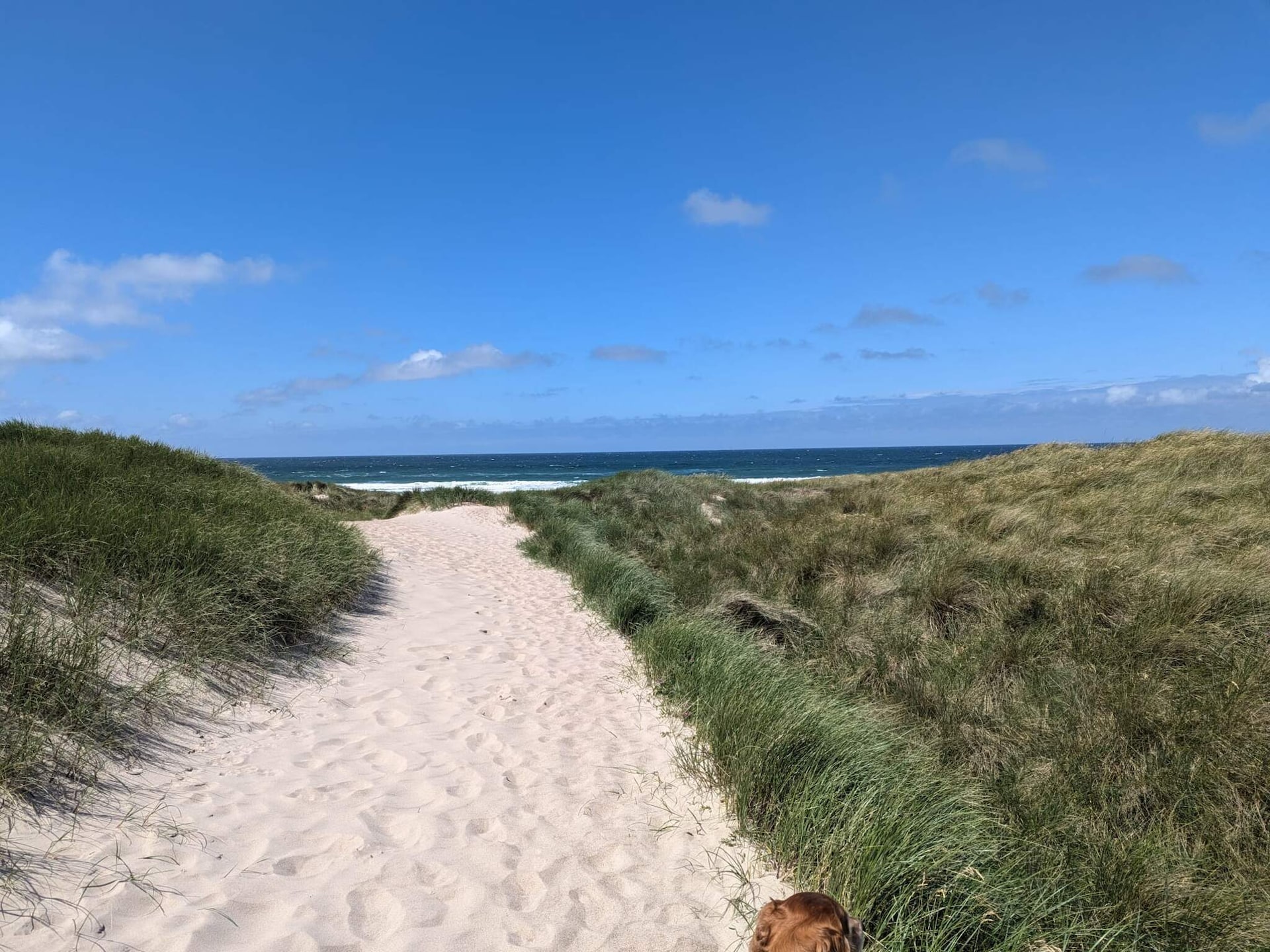 6-persoons vakantiehuis aan zee in Thyholm met whirlpool - foto 12