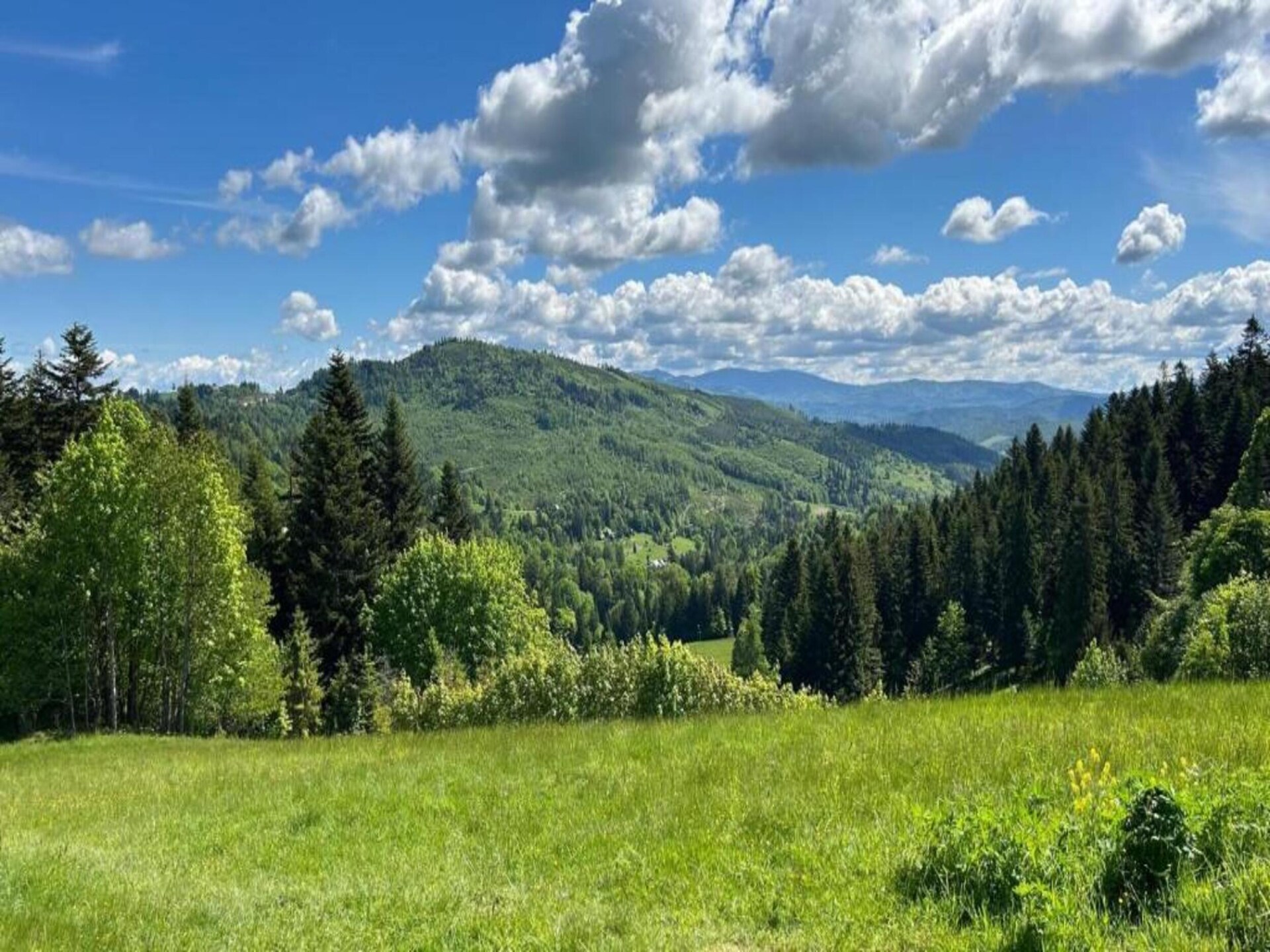 Ruime 8-persoons villa met sauna & bergzicht in Zwardoń - foto 31