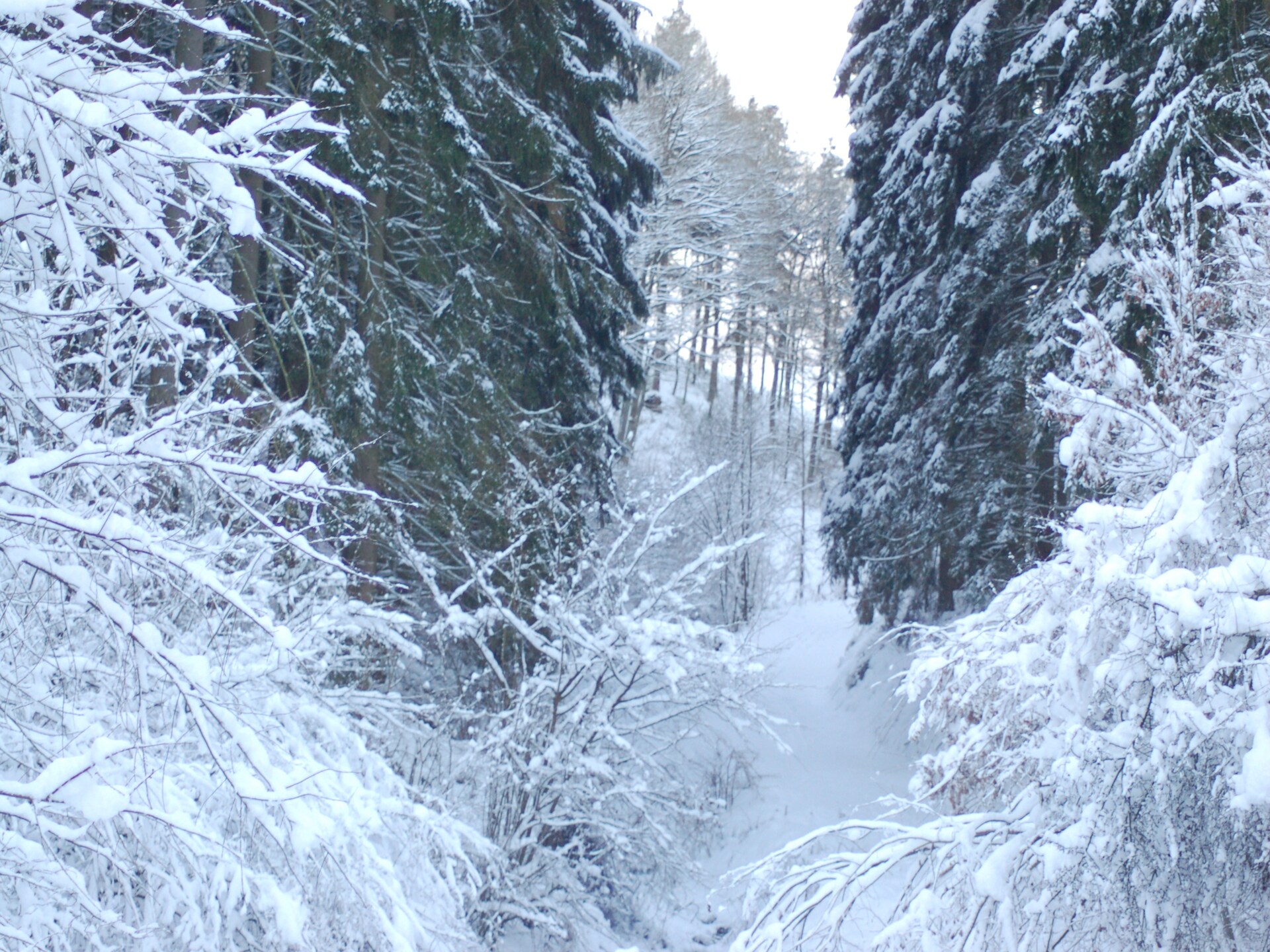 Vrijstaand vakantiehuis met omheinde tuin in de Vulkaaneifel, Hellenthal - foto 39