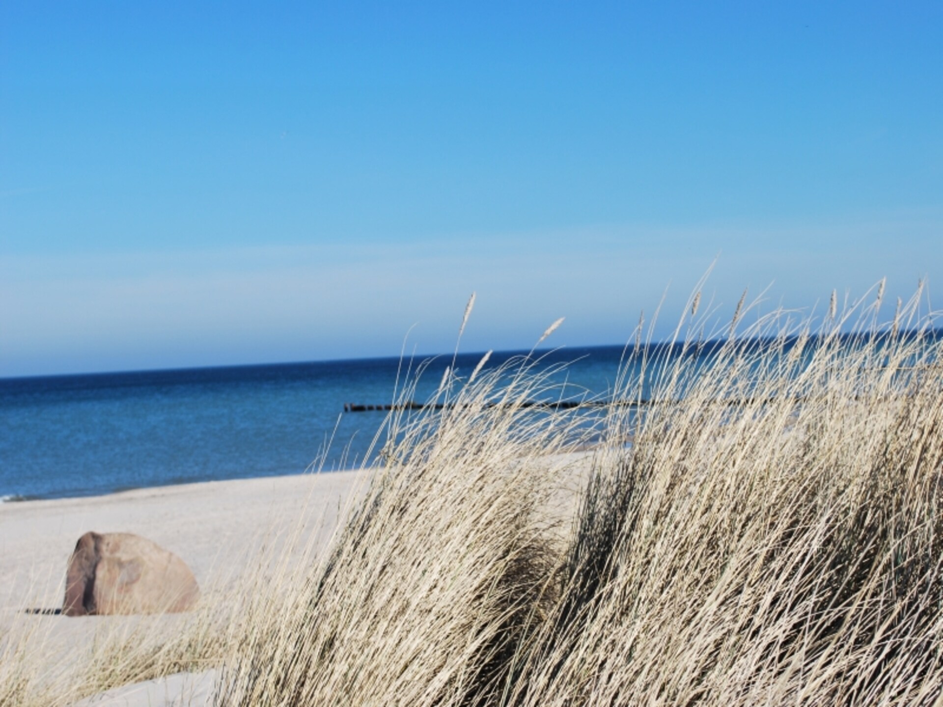 Gezellig appartement in Zweedorf met tuin, nabij strand en golfbaan - foto 29