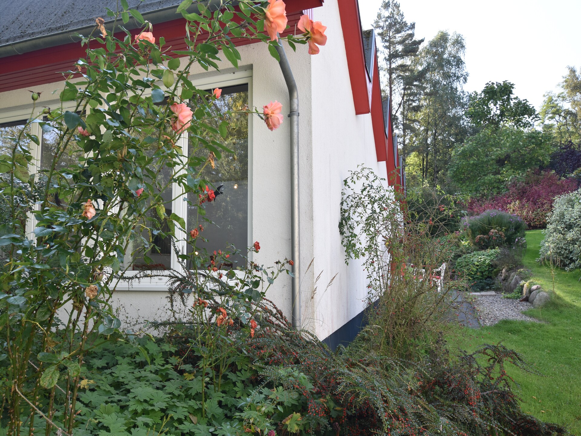 Artistiek vakantiehuis met Oostzeezicht en tuin in Kühlungsborn - foto 13