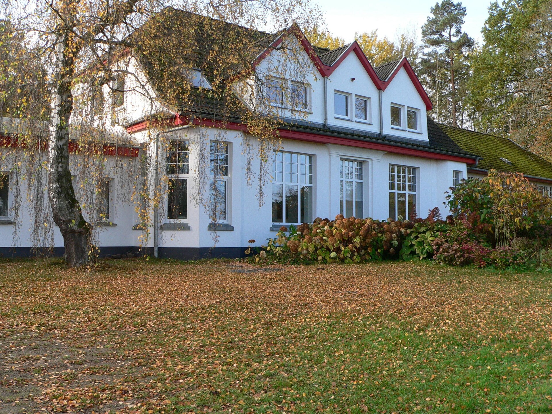 Artistiek vakantiehuis met Oostzeezicht en tuin in Kühlungsborn - foto 40
