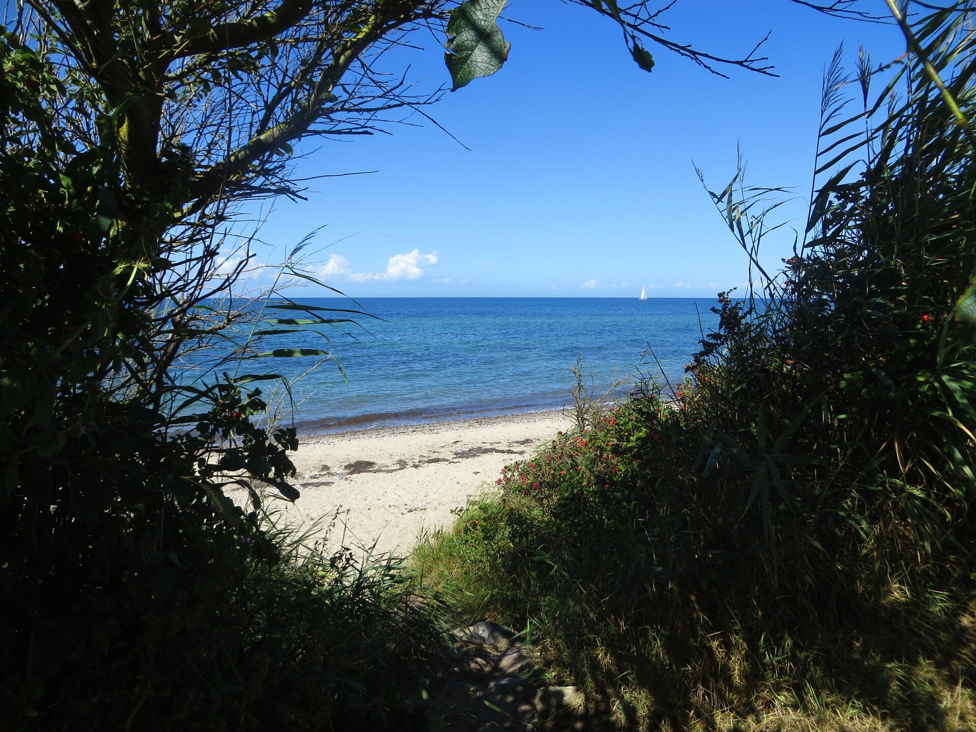 Knus solo-appartement aan de bosrand, 500m van het strand in Kühlungsborn - foto 20