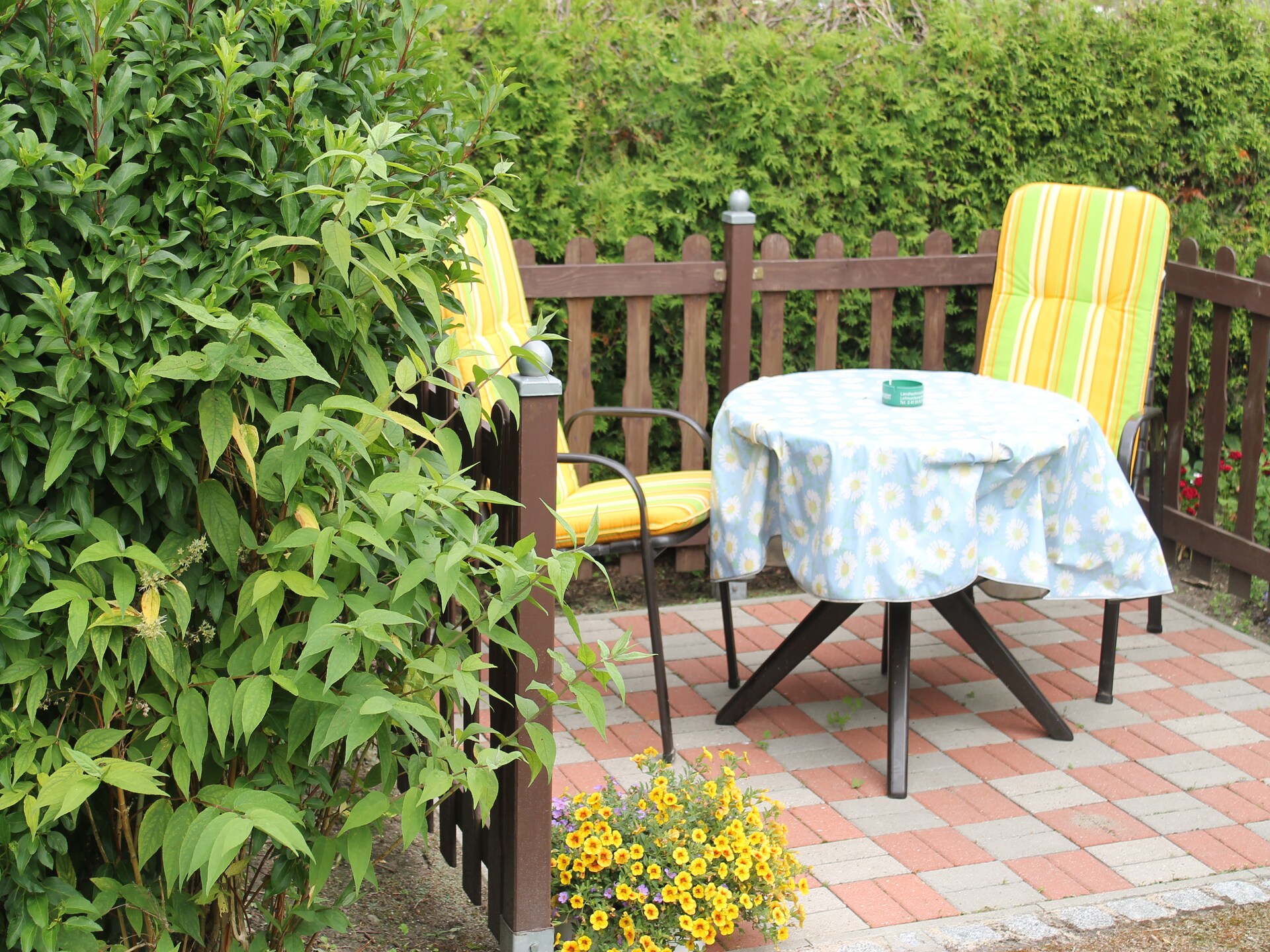 Knus appartement met tuin en terras, op 3,5 km van het strand in Klütz - foto 14