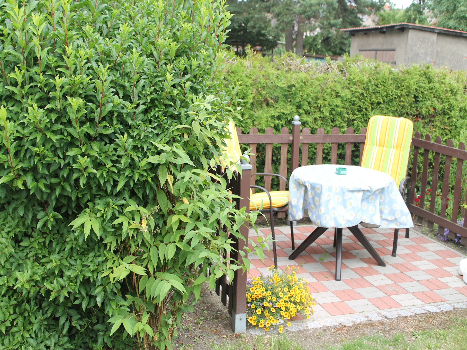 Knus appartement met tuin en terras, op 3,5 km van het strand in Klütz - foto 15