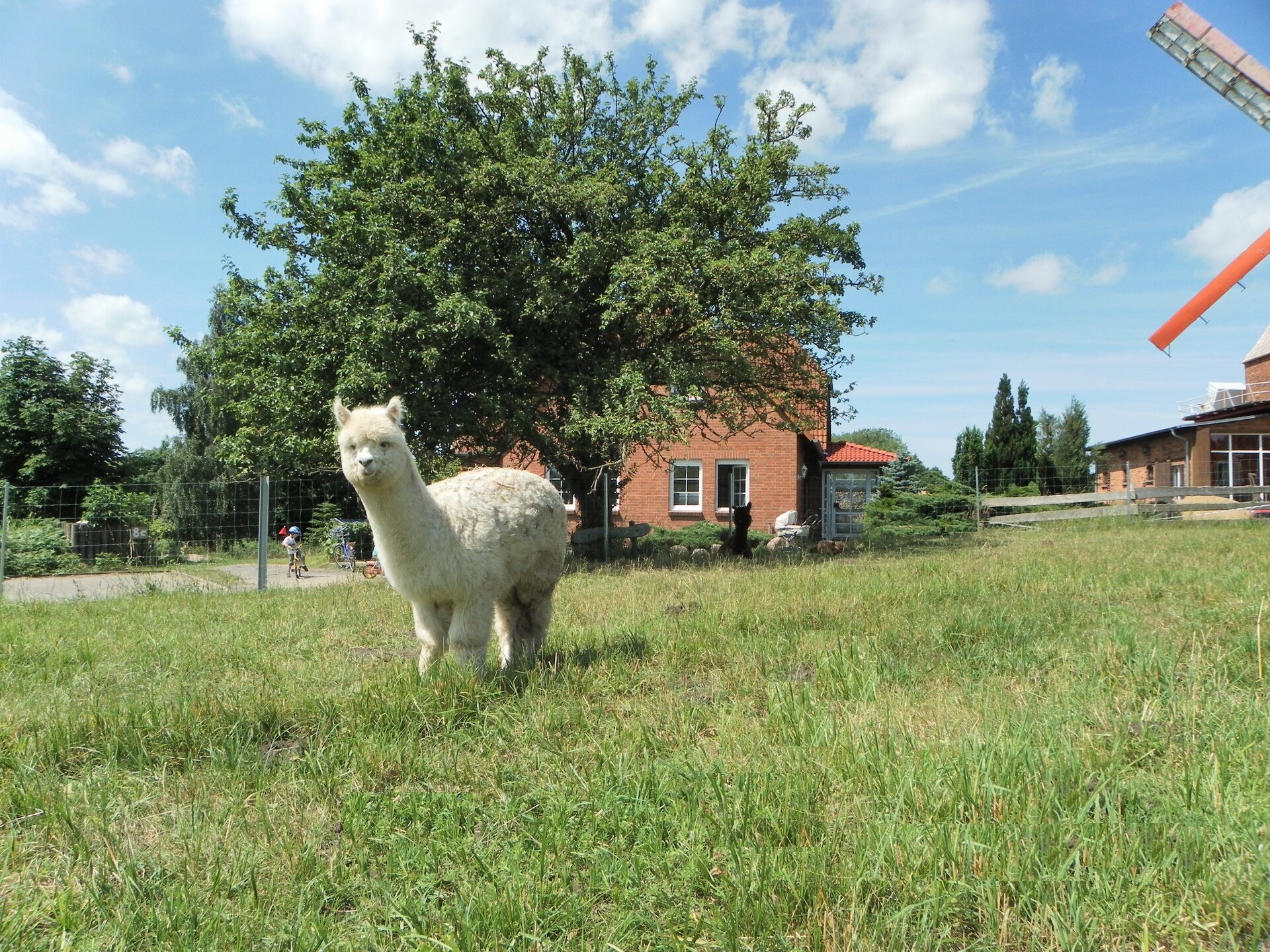 Rustiek appartement nabij Oostzee met tuin, wifi & houtskool BBQ - foto 21