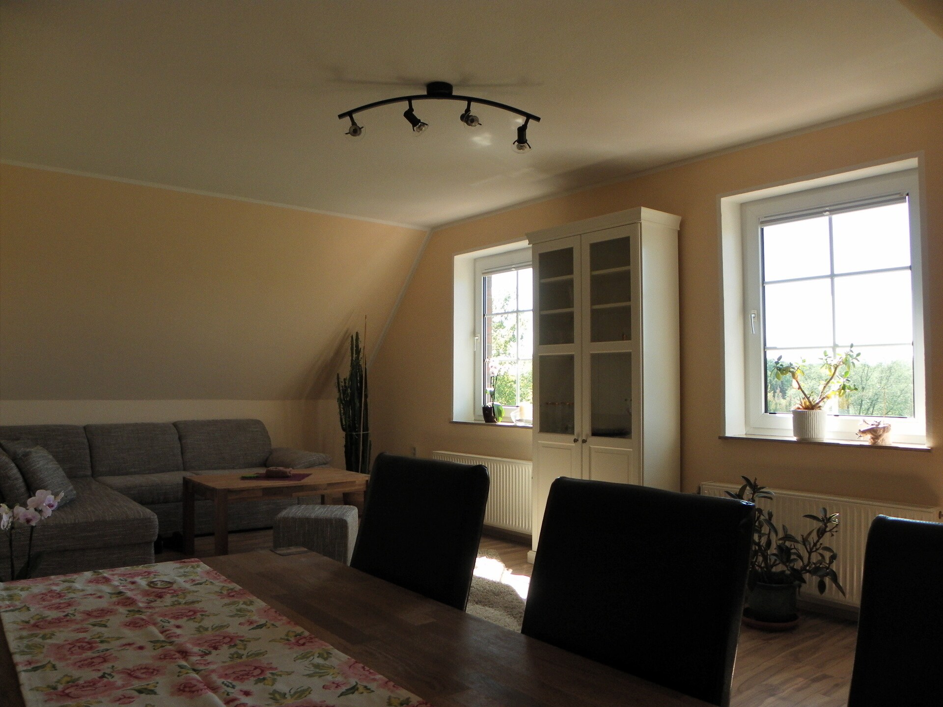 Rustiek appartement nabij Oostzee met tuin, wifi & houtskool BBQ - foto 3