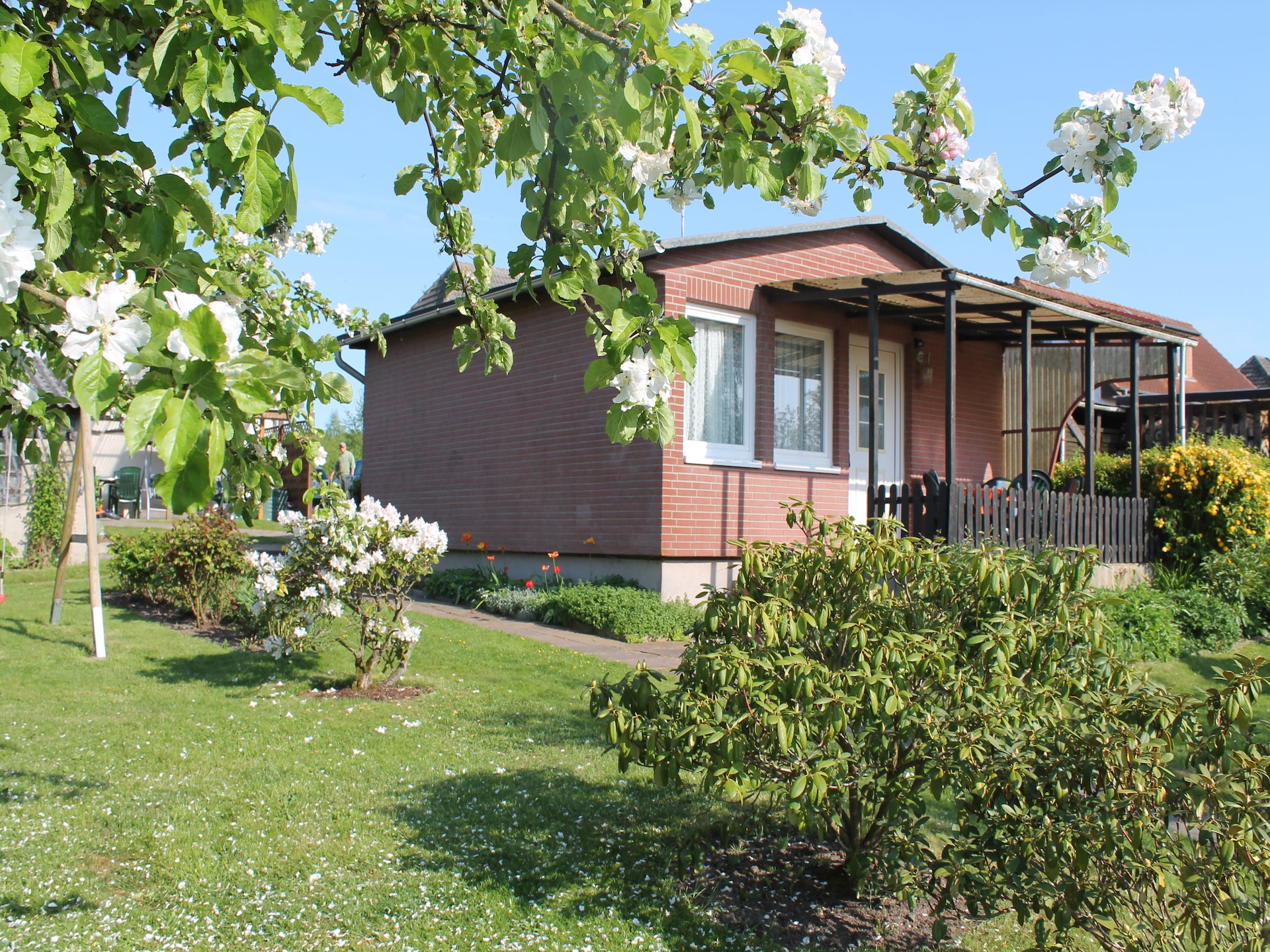 3-persoons bungalow Häuslerei in Boltenhagen op 800 m van zee - foto 5