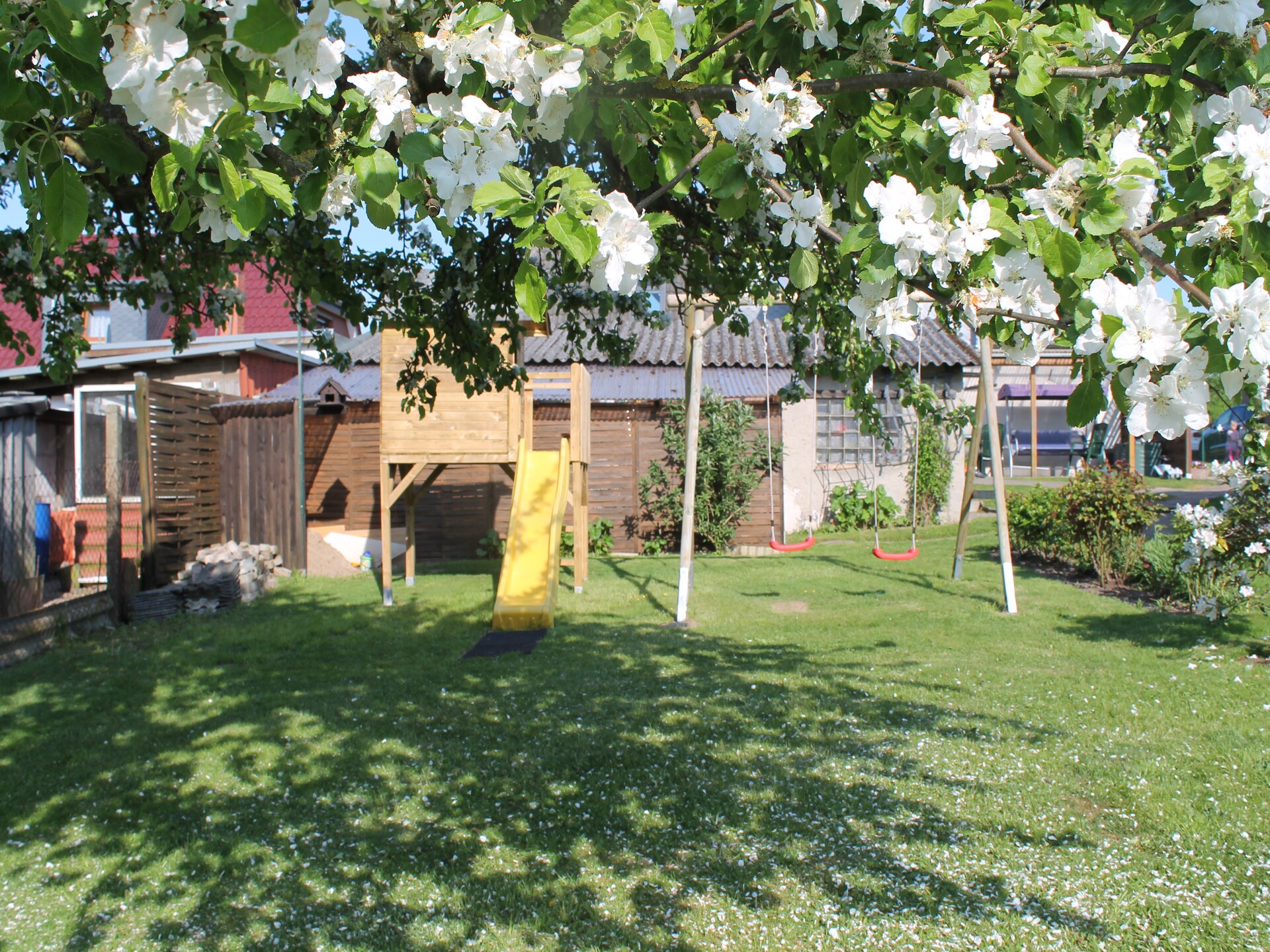 3-persoons bungalow Häuslerei in Boltenhagen op 800 m van zee - foto 15