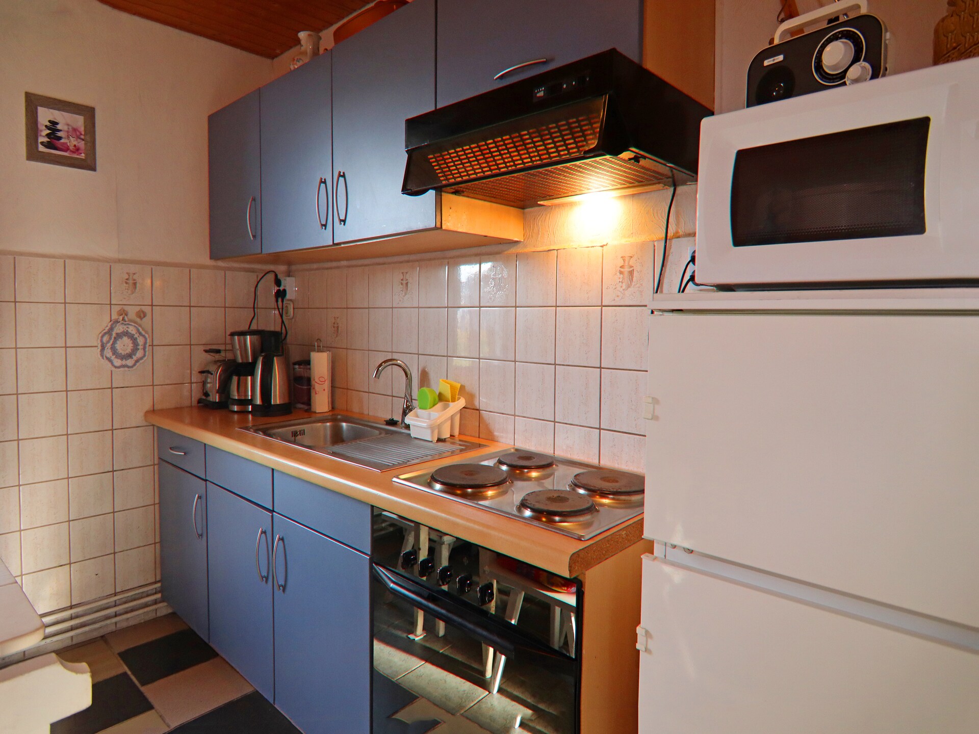 Knusse bungalow voor 3 bij de Oostzee – hondvriendelijk en vlakbij strand - foto 14
