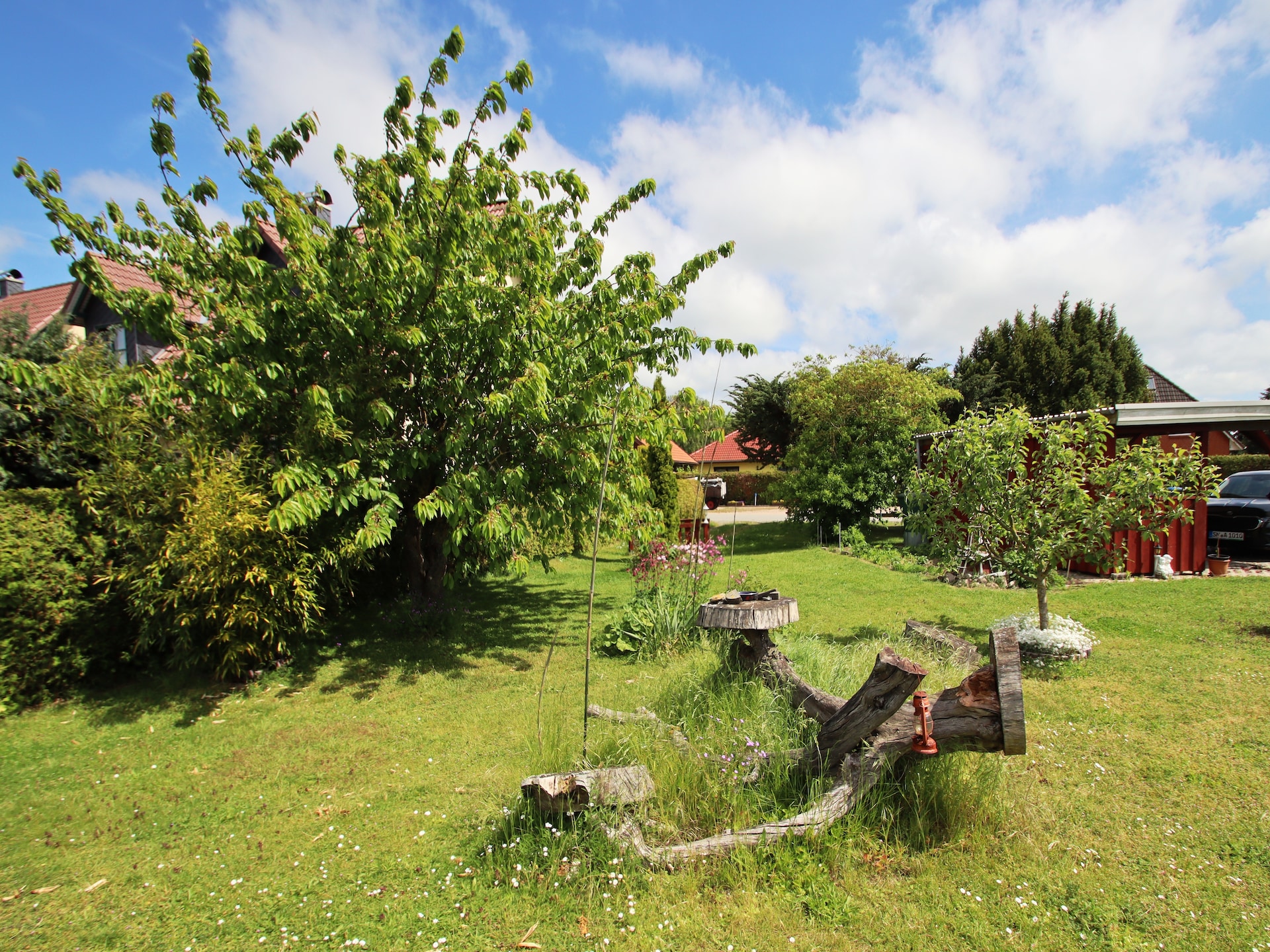 3-persoons bungalow Wiesenblick in Pepelow vlakbij het strand - foto 30
