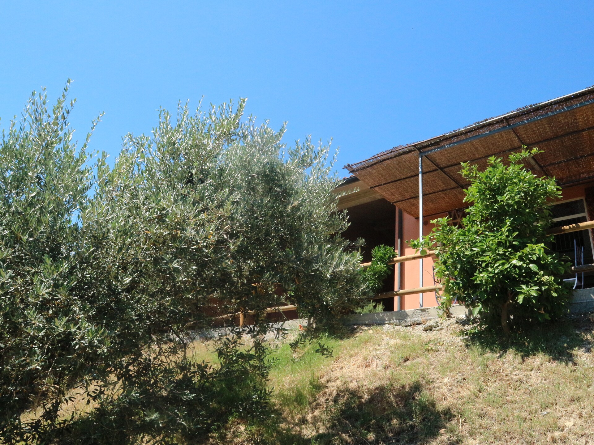 Rustgevend vakantiehuis Mario in Castagneto Carducci - foto 35