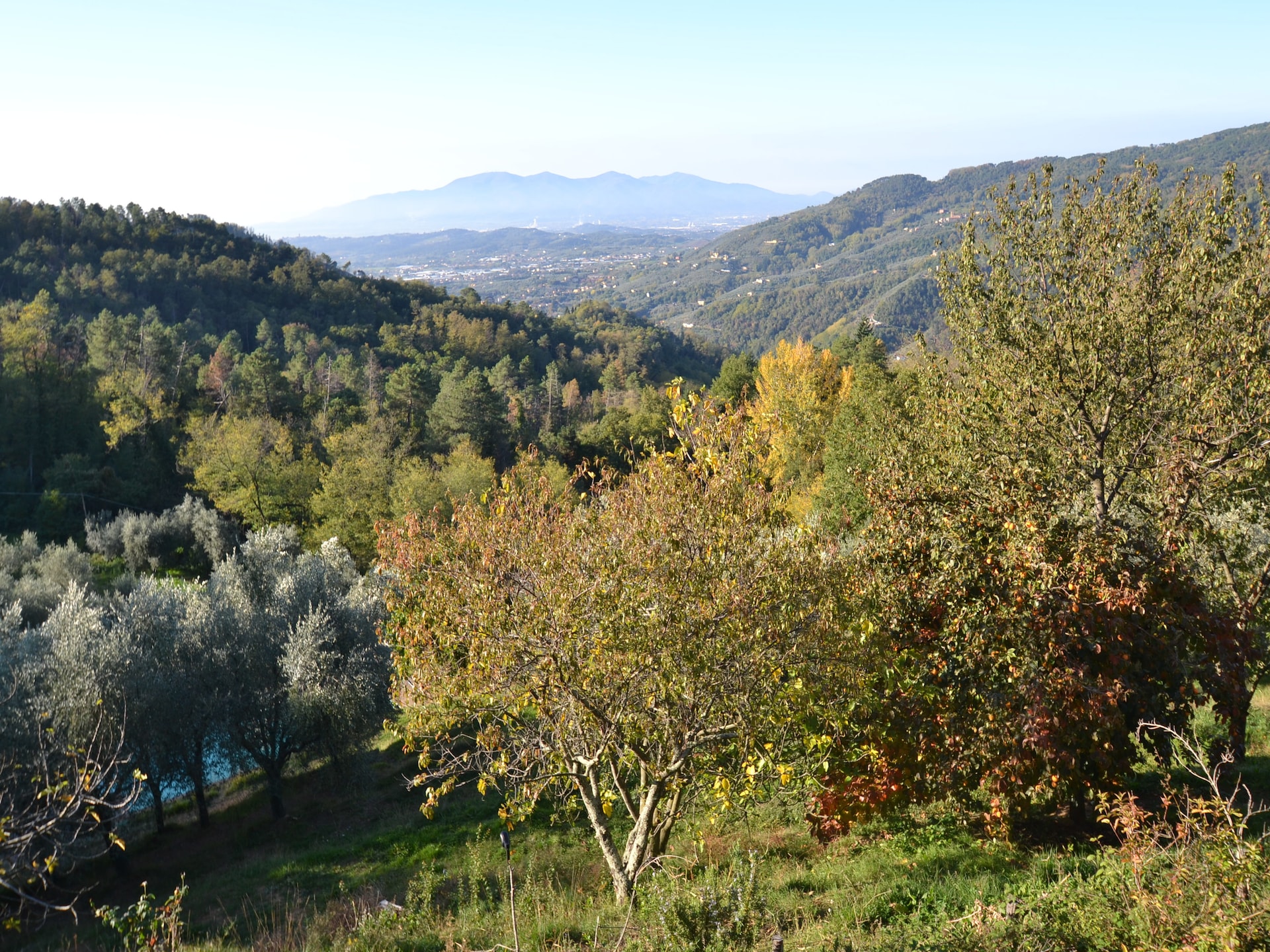 6-persoons vakantiehuis met privézwembad in Pescia - foto 37