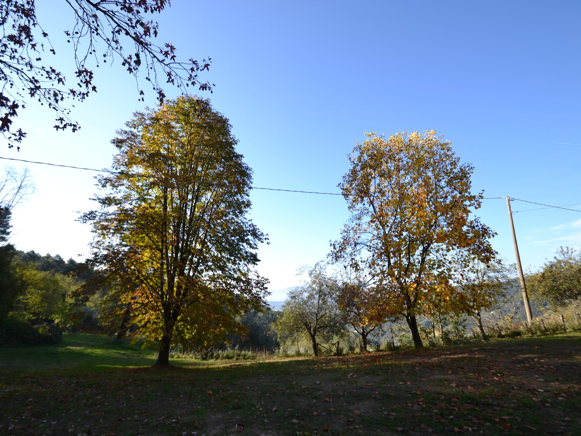 6-persoons vakantiehuis met privézwembad in Pescia - foto 28
