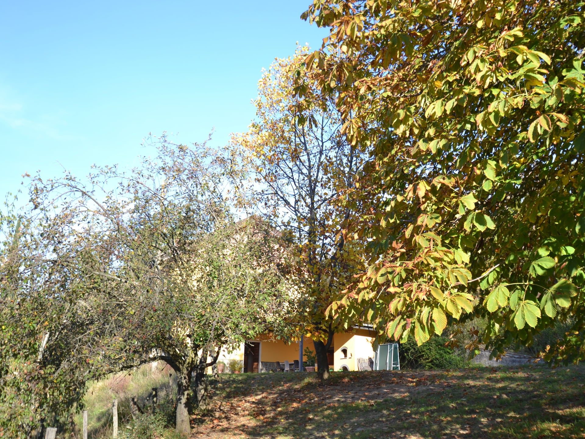 6-persoons vakantiehuis met privézwembad in Pescia - foto 29