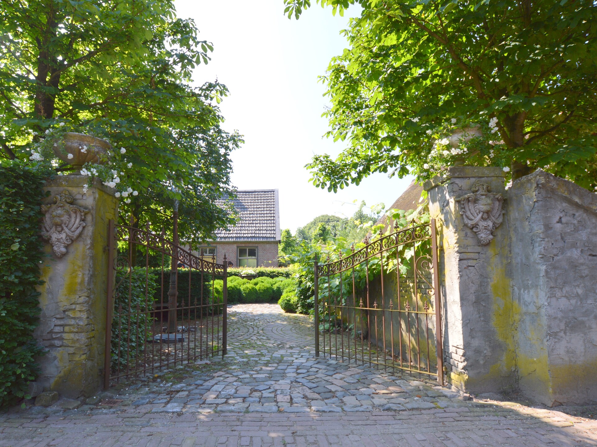 La Grande Maison Douce: Luxe boerderij met privé wellness in het Brabantse bos - foto 7