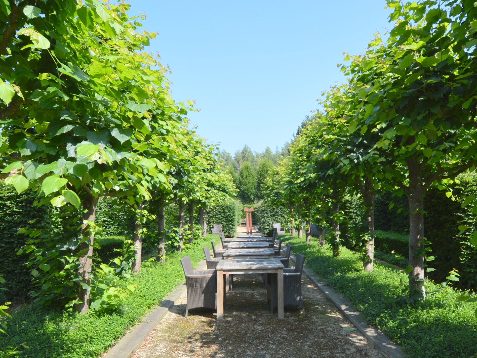 La Grande Maison Douce: Luxe boerderij met privé wellness in het Brabantse bos - foto 32