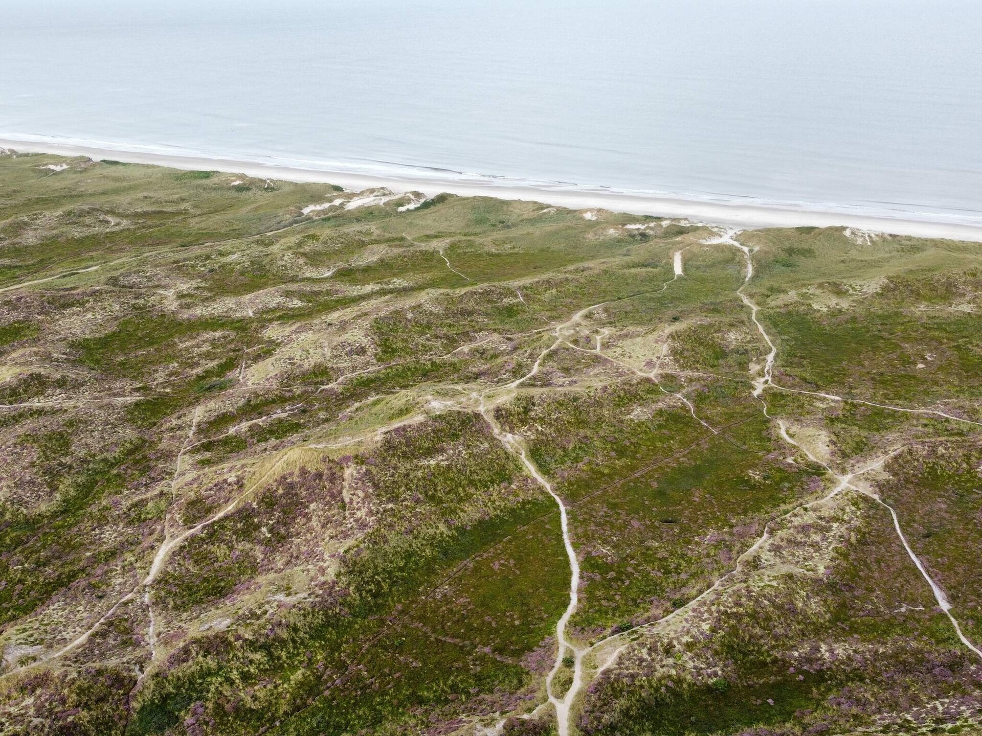 Knus vrijstaand vakantiehuis op natuurlijk perceel bij Ringkøbing Fjord - foto 11