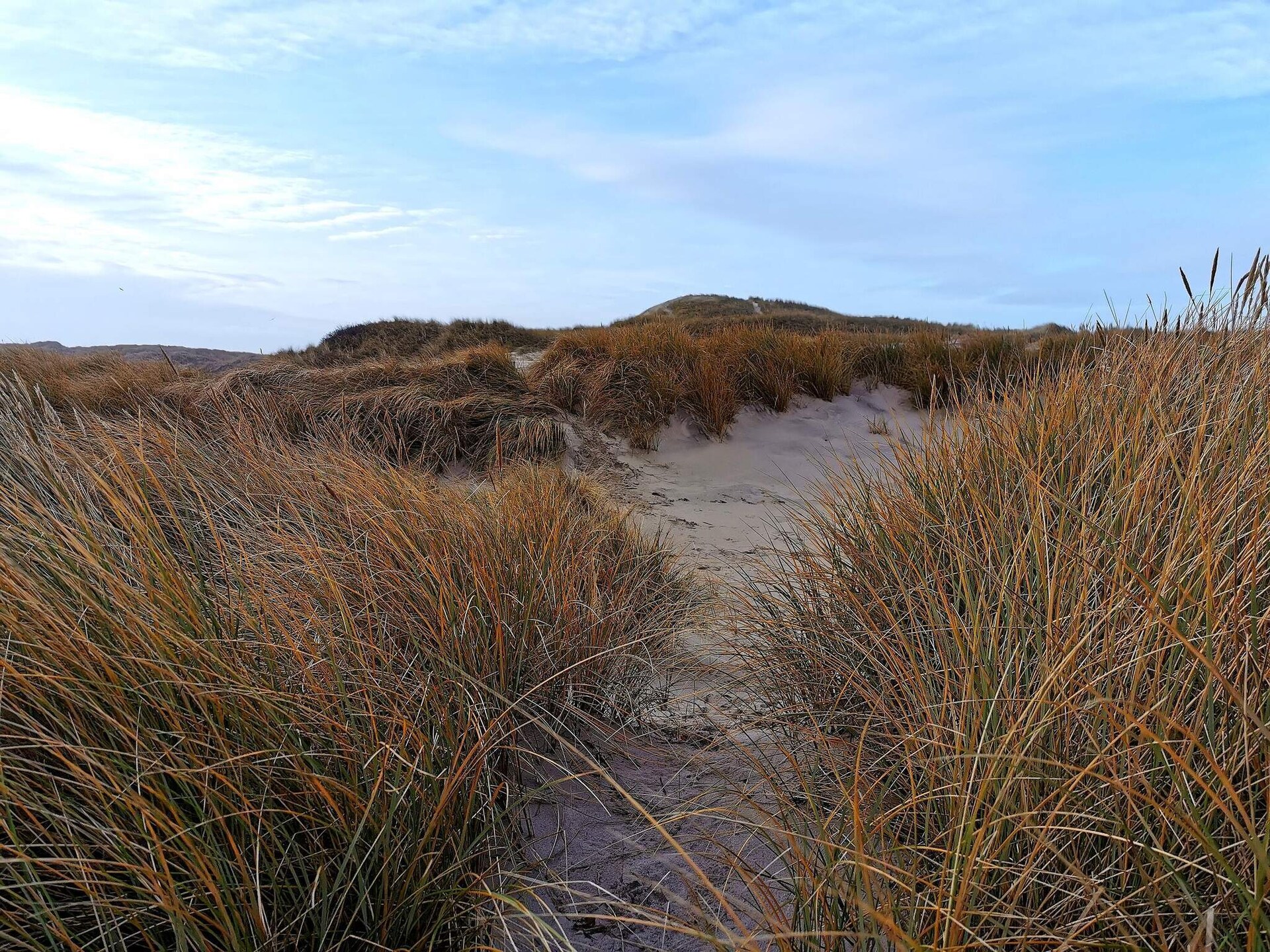 Knus vrijstaand vakantiehuis op natuurlijk perceel bij Ringkøbing Fjord - foto 12