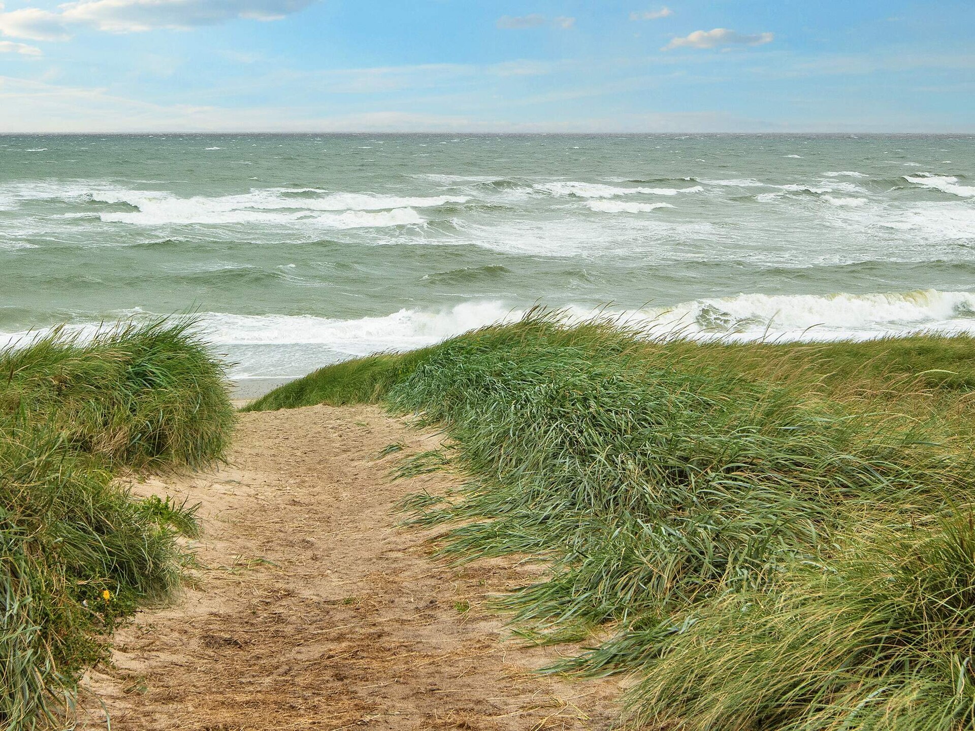 Vrijstaand vakantiehuis aan de Noordzeekust met zeezicht, 50m van strand - foto 16