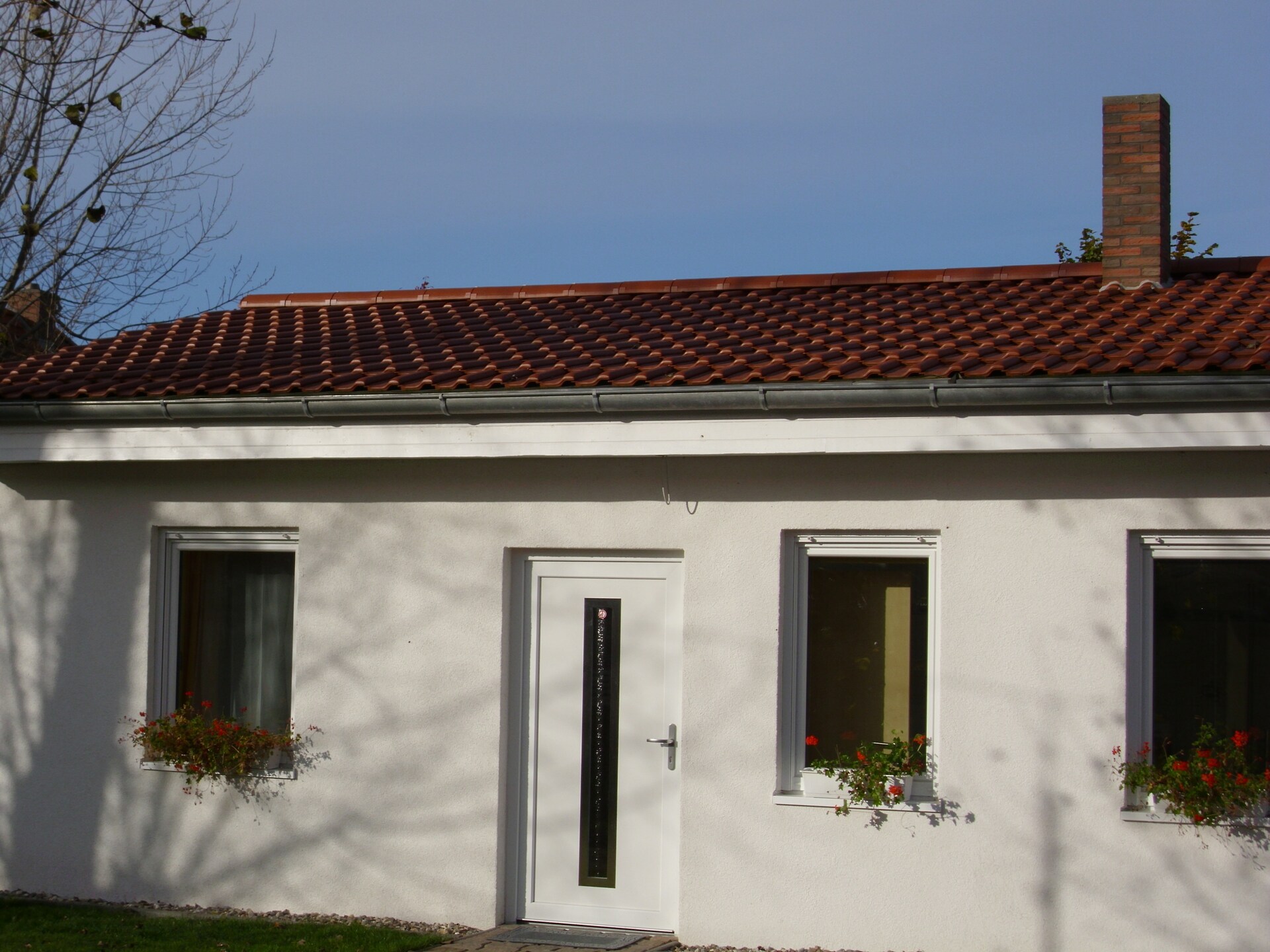 Knusse bungalow voor 4 aan de Oostzee, met tuin en sauna - foto 6