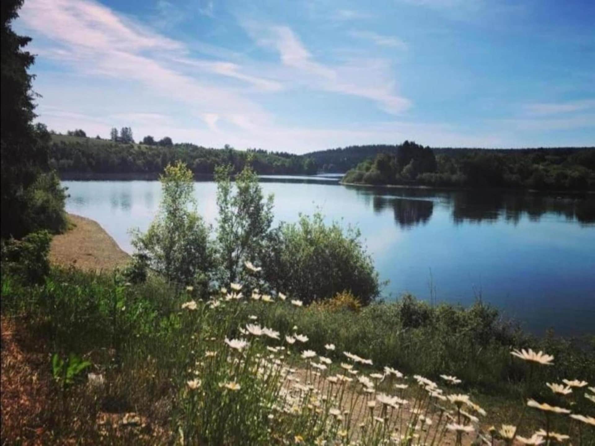 3-persoons vakantiehuis in Ostseebad Boltenhagen op 800m van zee - foto 29