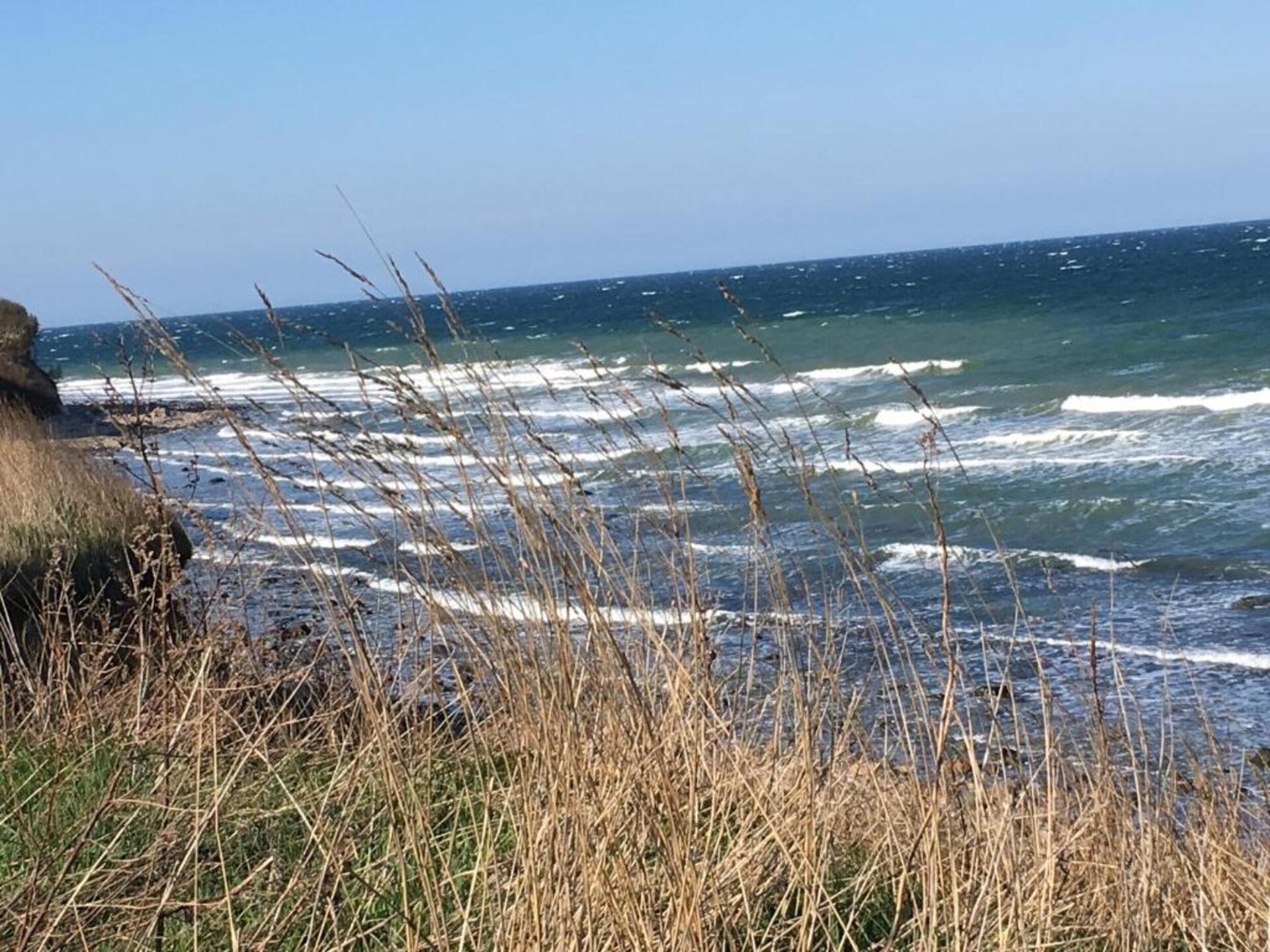 Knusse houten bungalow voor 2 met tuin, 2,5 km van het strand - foto 26