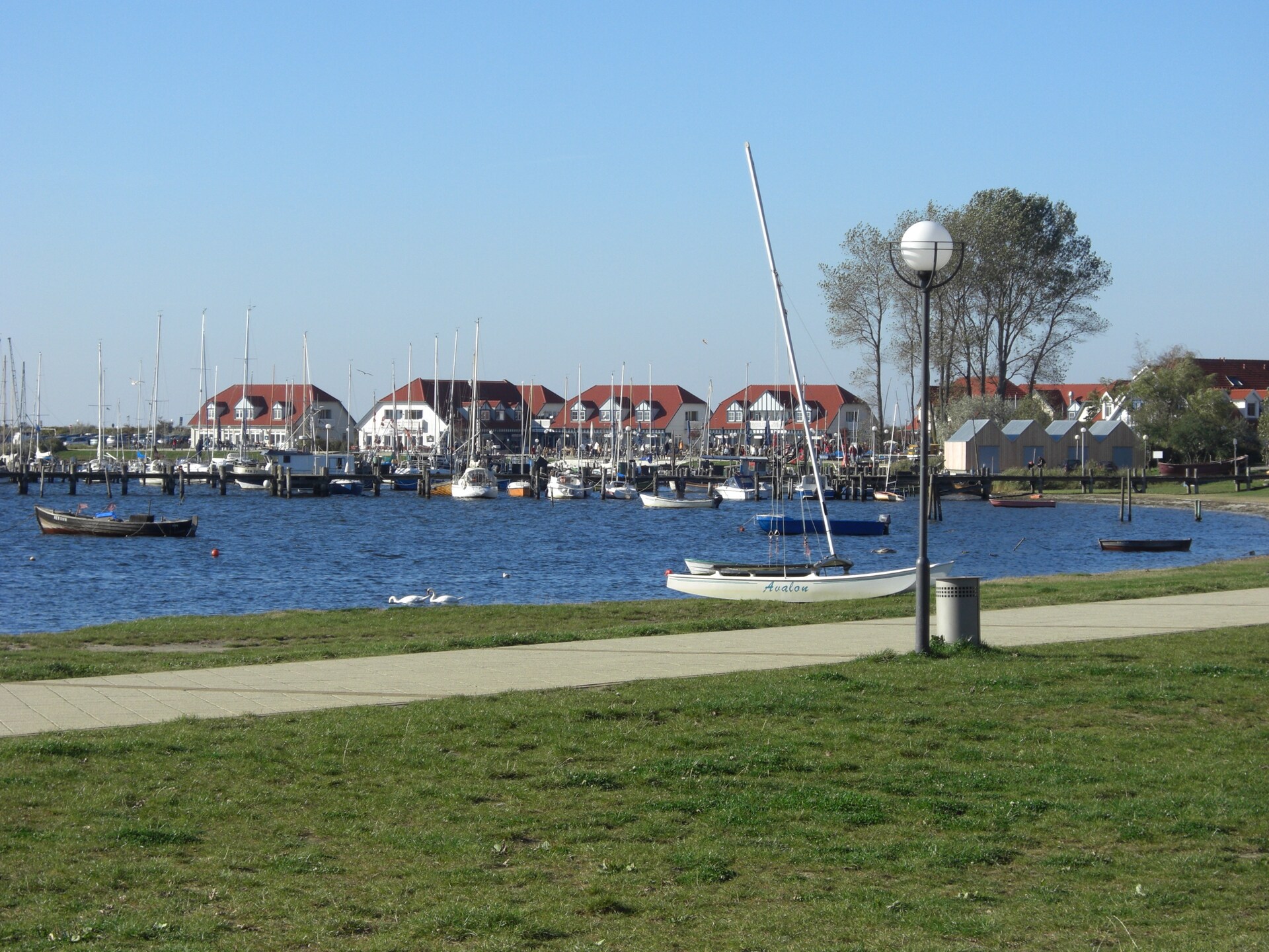 Knus vrijstaand huisje met tuin & BBQ, 3 km van strand bij Kühlungsborn - foto 41