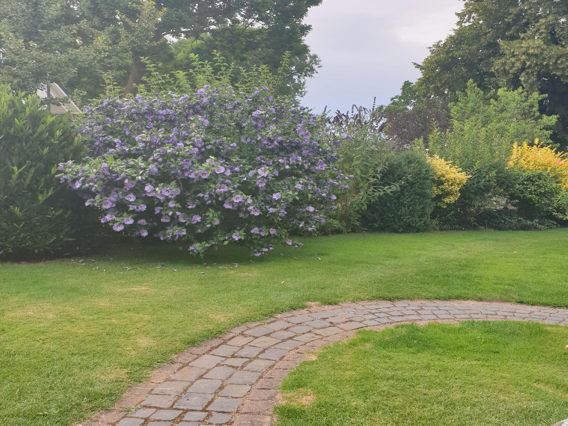Knus vrijstaand huisje met tuin & BBQ, 3 km van strand bij Kühlungsborn - foto 17
