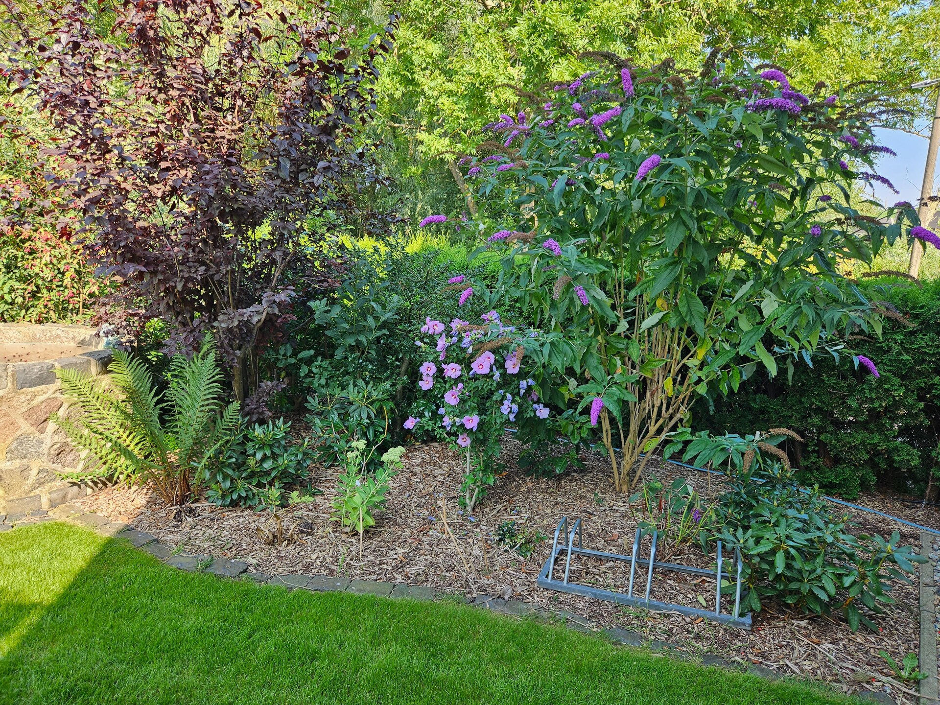 Knus vrijstaand huisje met tuin & BBQ, 3 km van strand bij Kühlungsborn - foto 19