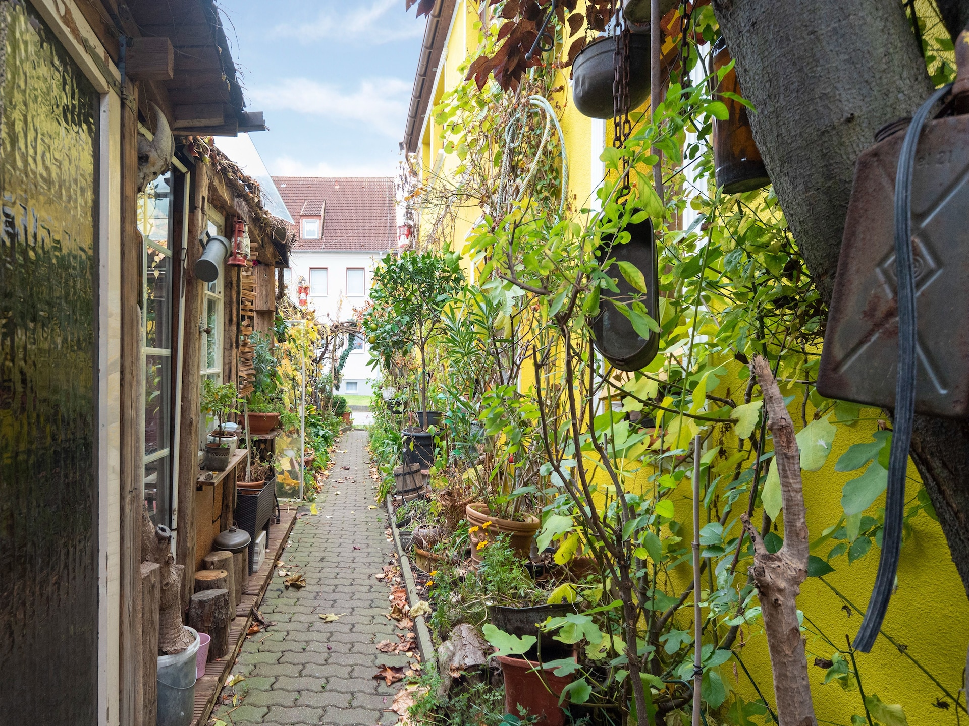Op 1,0 km van het centrum: charmant appartement in Wismar - foto 34