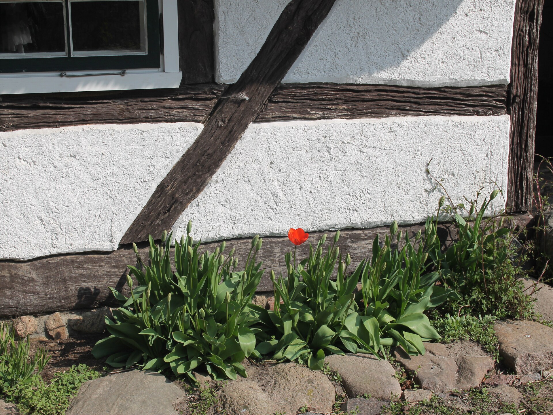 Knus appartement in Reddelich met tuin, BBQ & Wi-Fi, 9 km van strand - foto 19