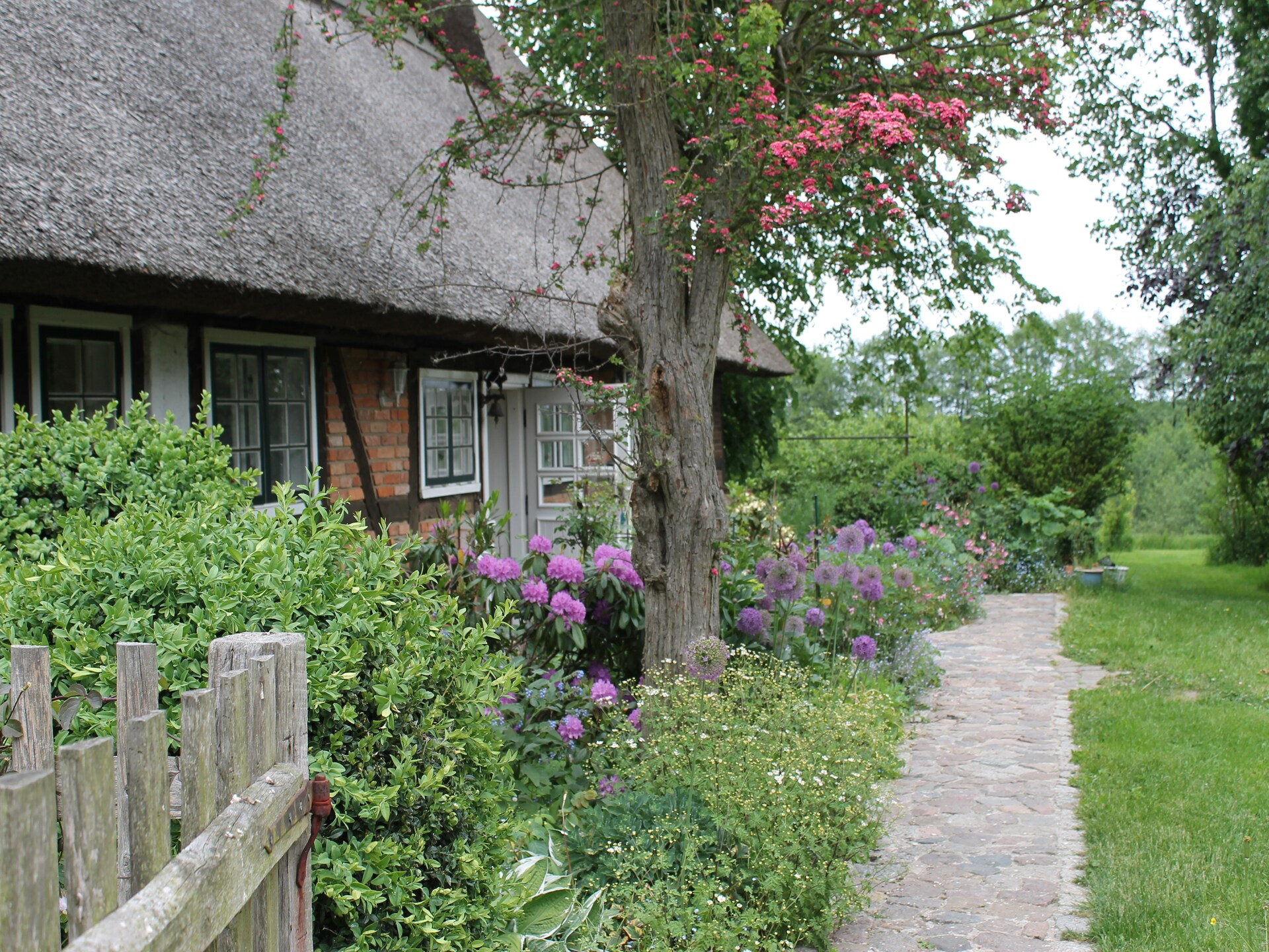Knus appartement in Reddelich met tuin, BBQ & Wi-Fi, 9 km van strand - foto 16