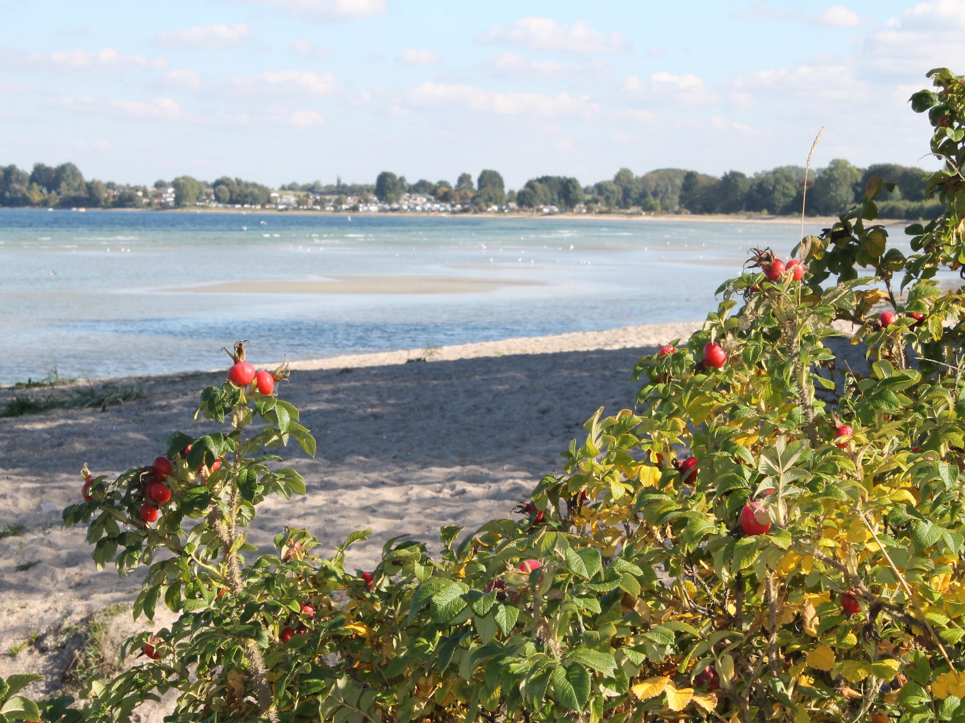 5-persoons appartement in Wohlenberg op 300m van het strand - foto 26