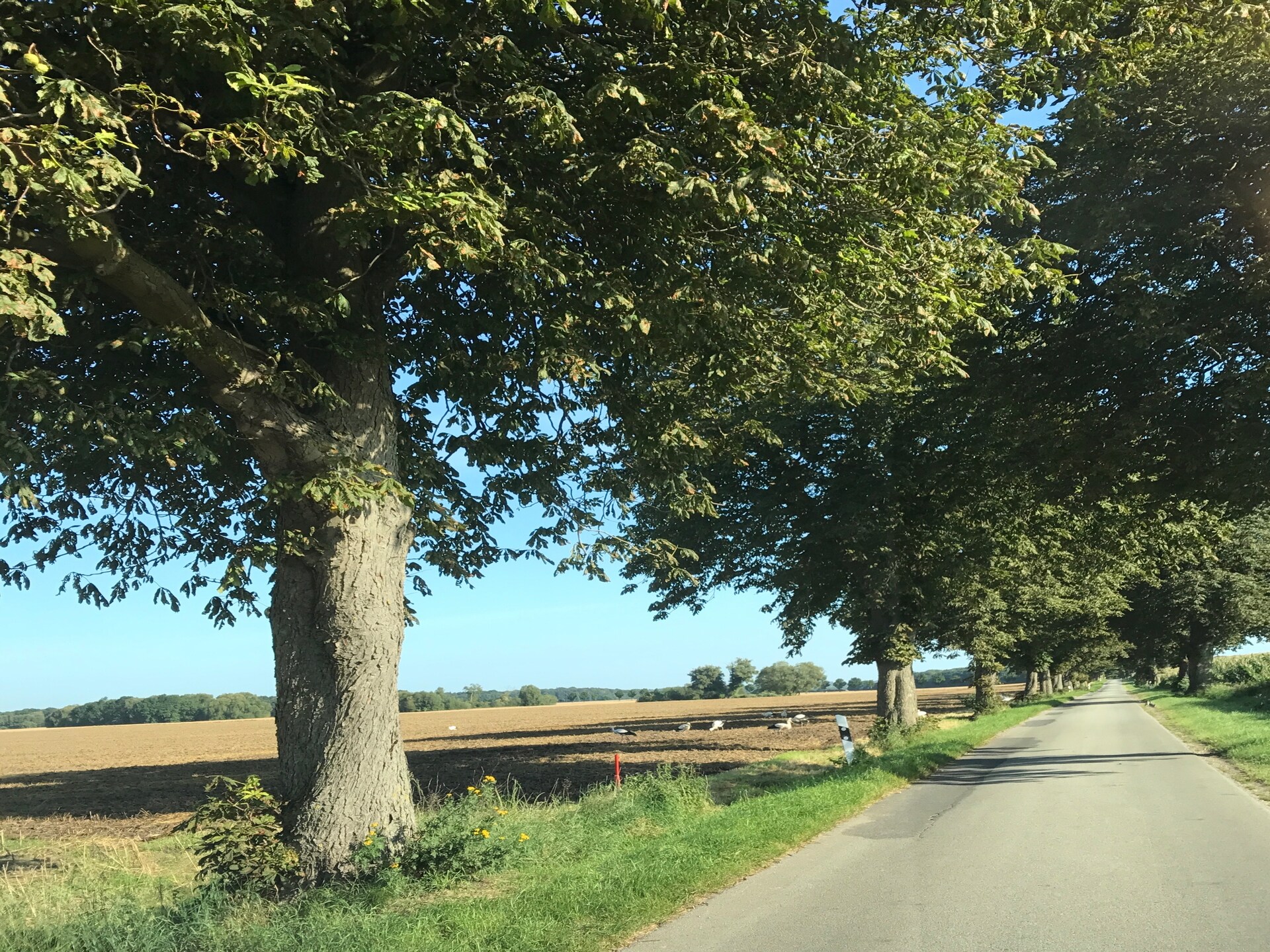 Ruim familieappartement voor 7 personen aan de golfbaan in Boddin - foto 28