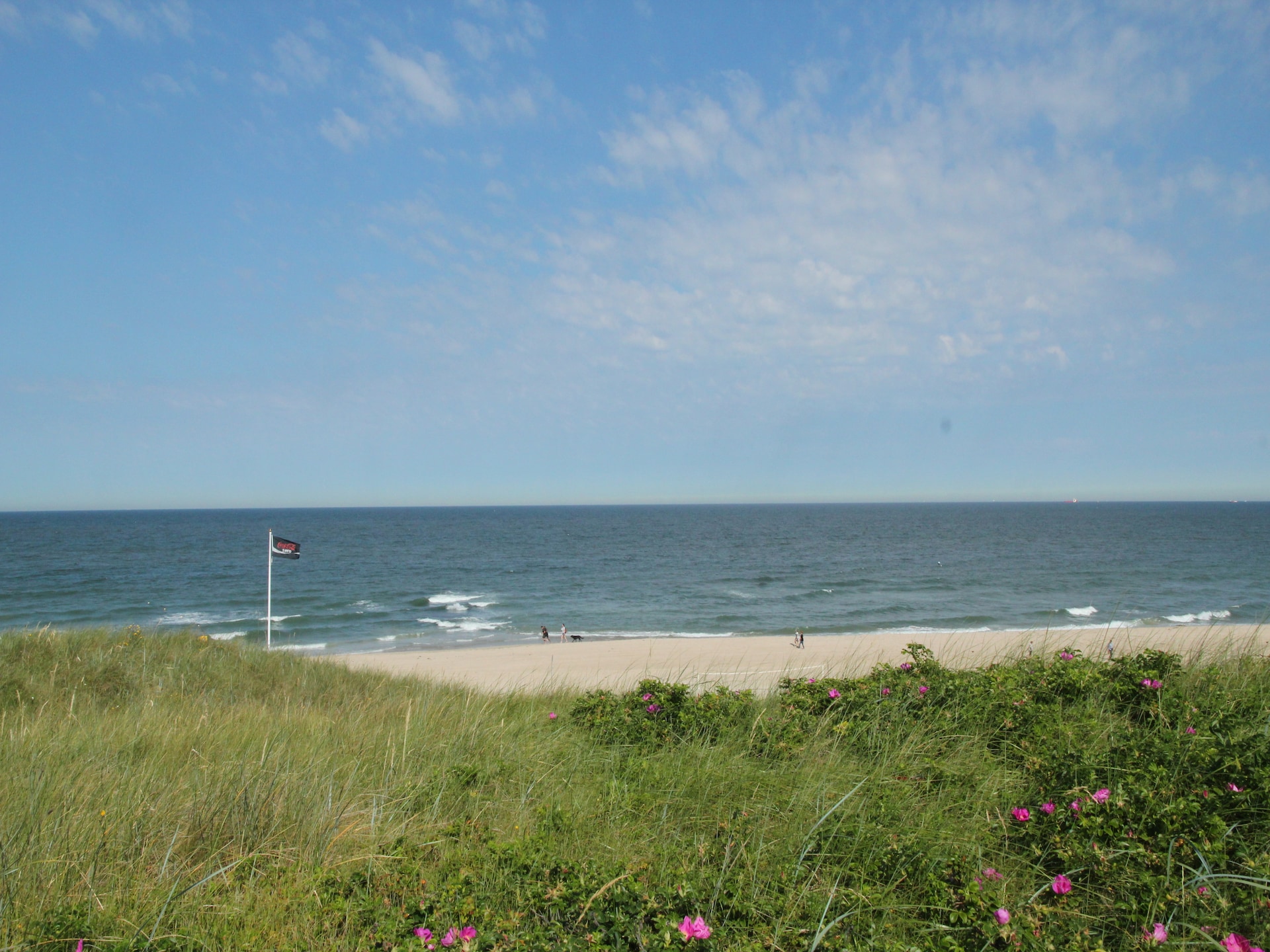 Quality Lodge aan de Duinen: luxe boslodge op 600m van zee - foto 15