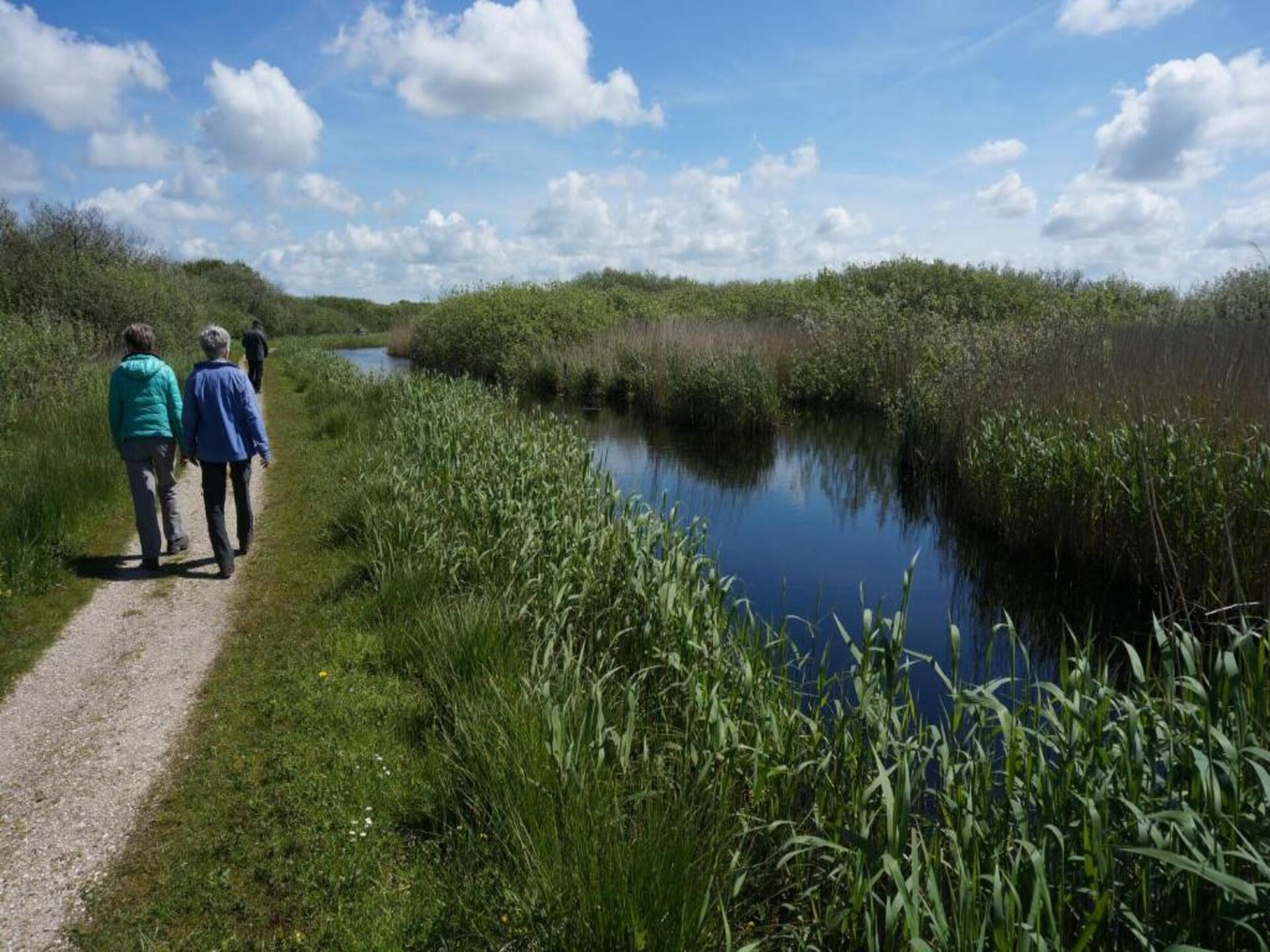 Quality Lodge aan de Duinen: luxe boslodge op 600m van zee - foto 37