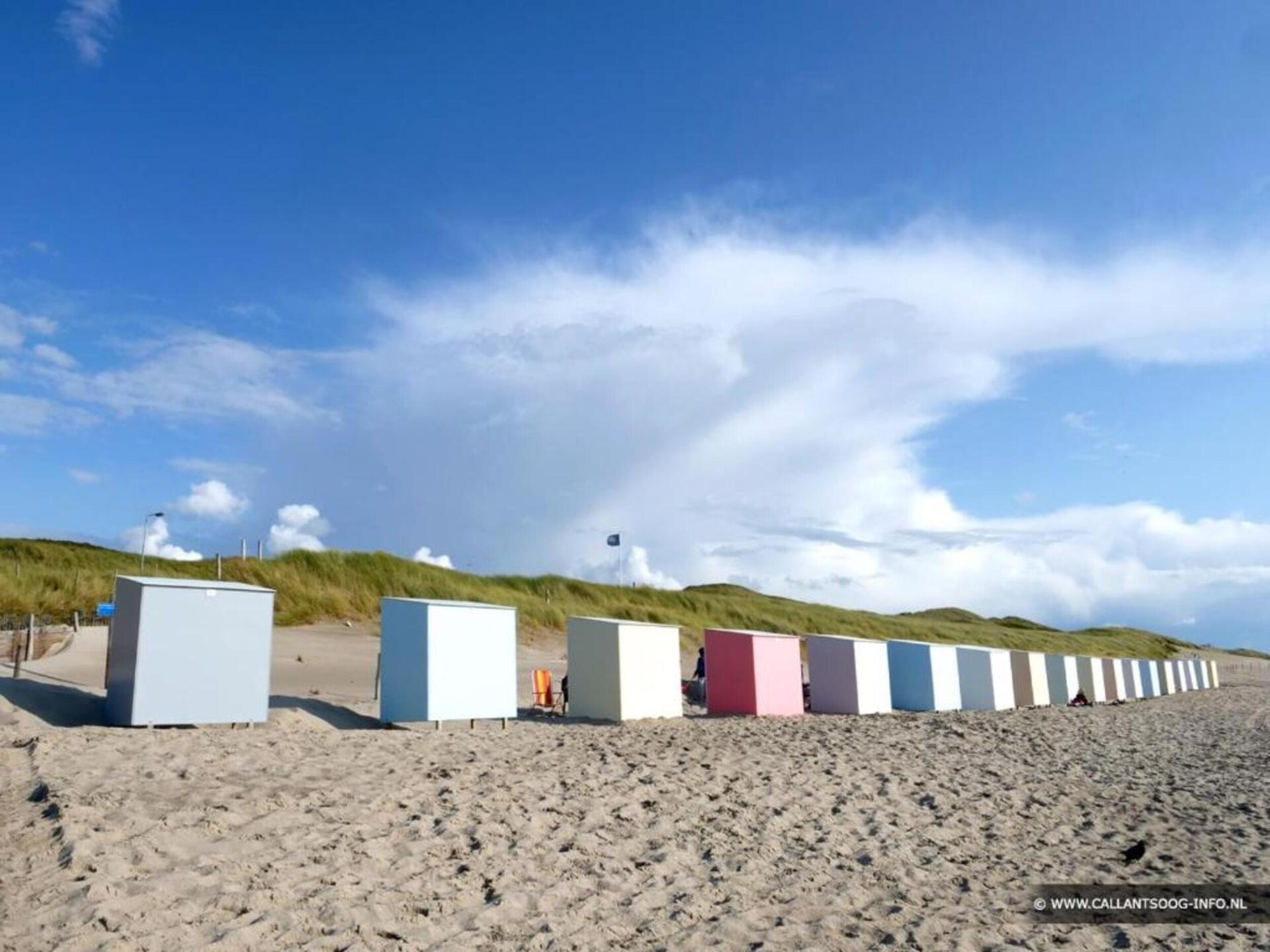 Quality Lodge aan de Duinen: luxe boslodge op 600m van zee - foto 22
