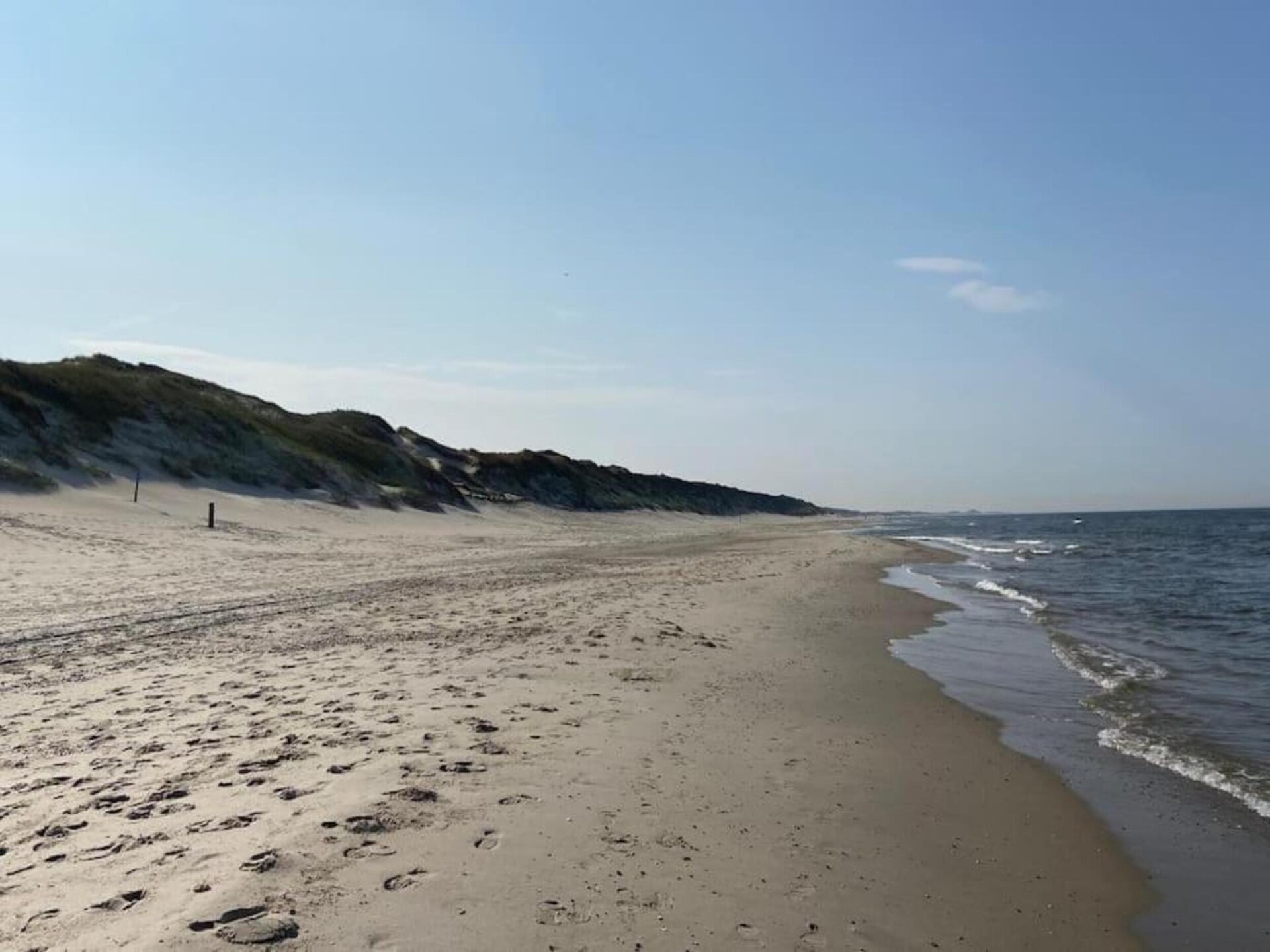Quality Lodge aan de Duinen: luxe boslodge op 600m van zee - foto 24